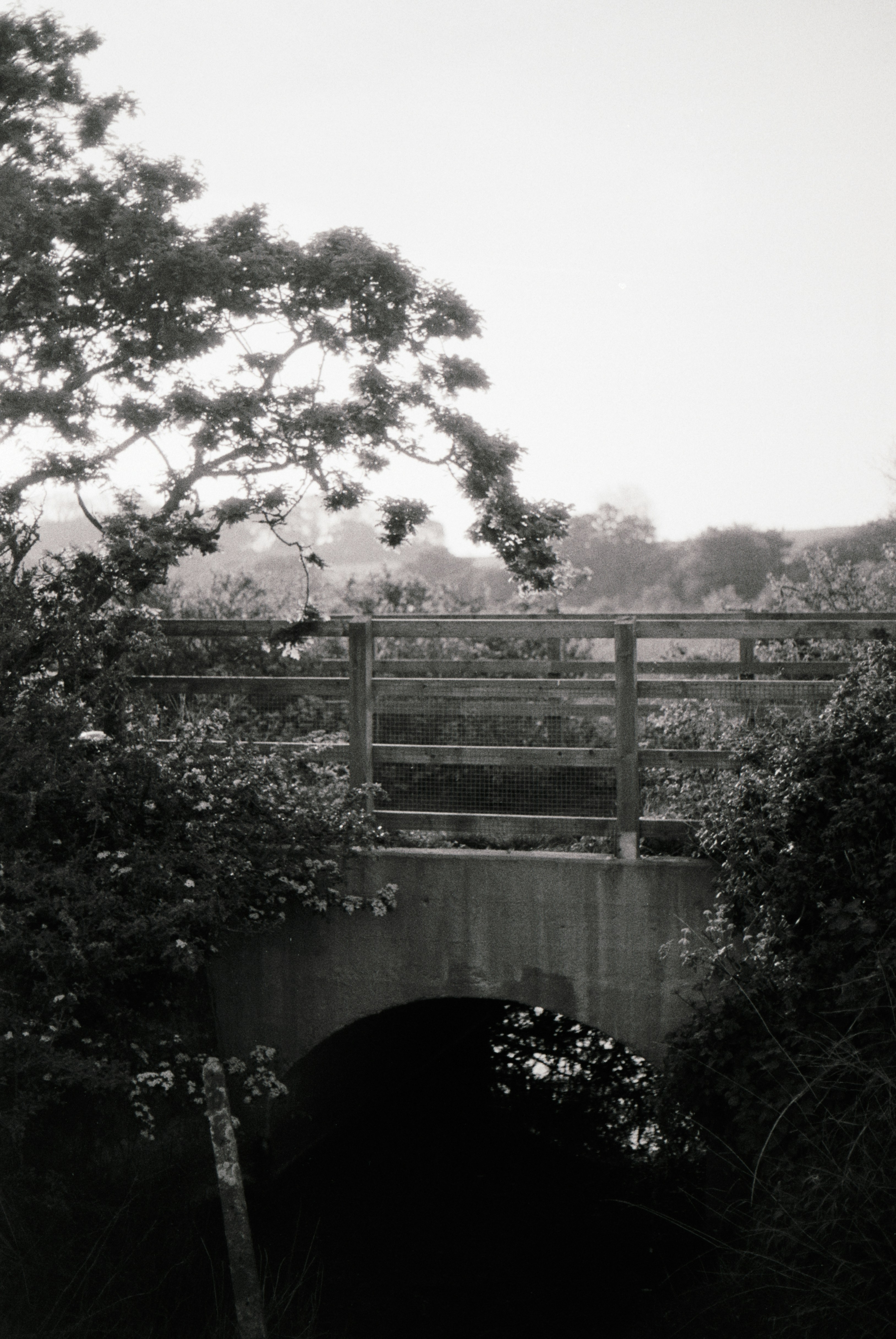 Photo by anniespratt