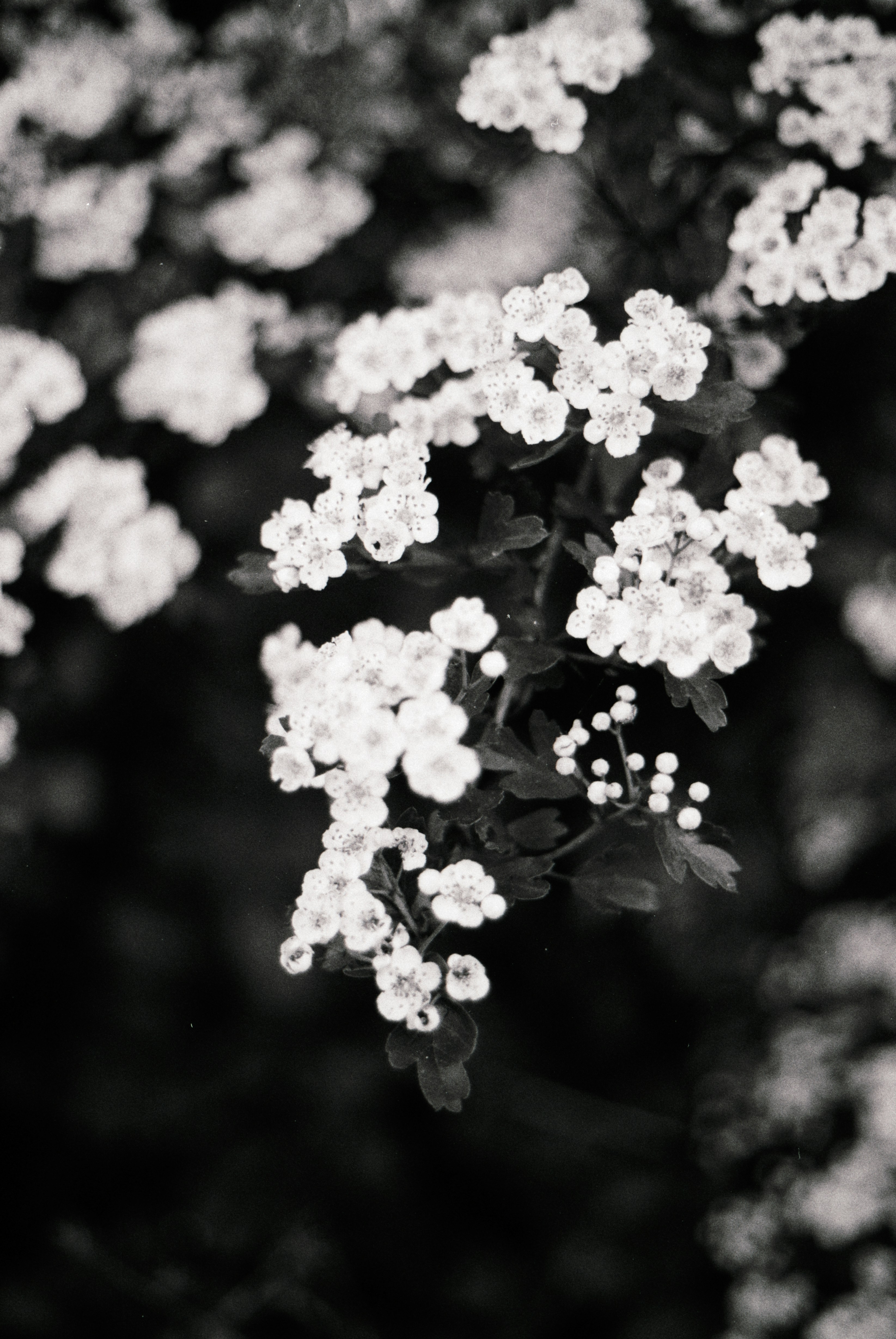 Photo by anniespratt