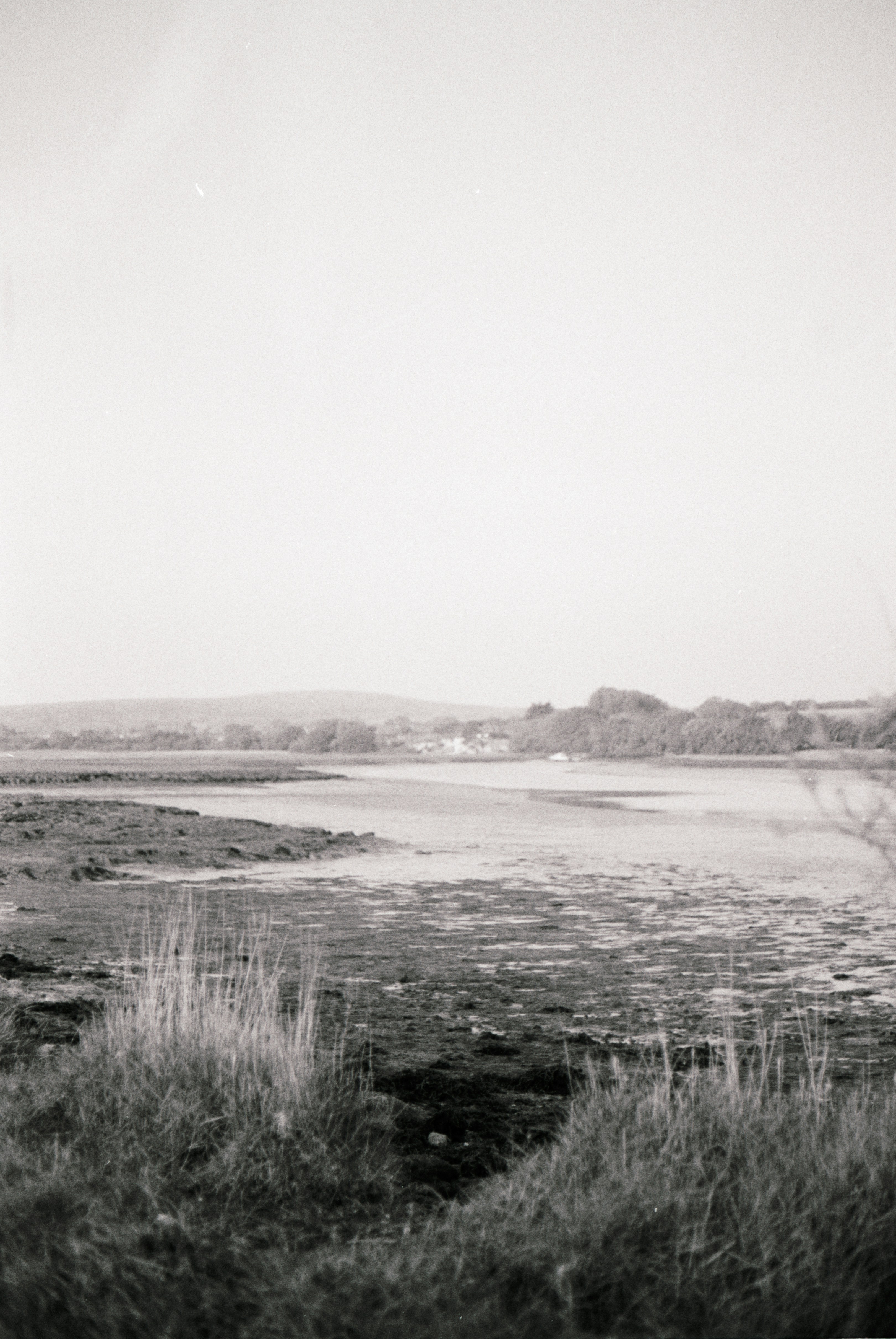 Photo by anniespratt