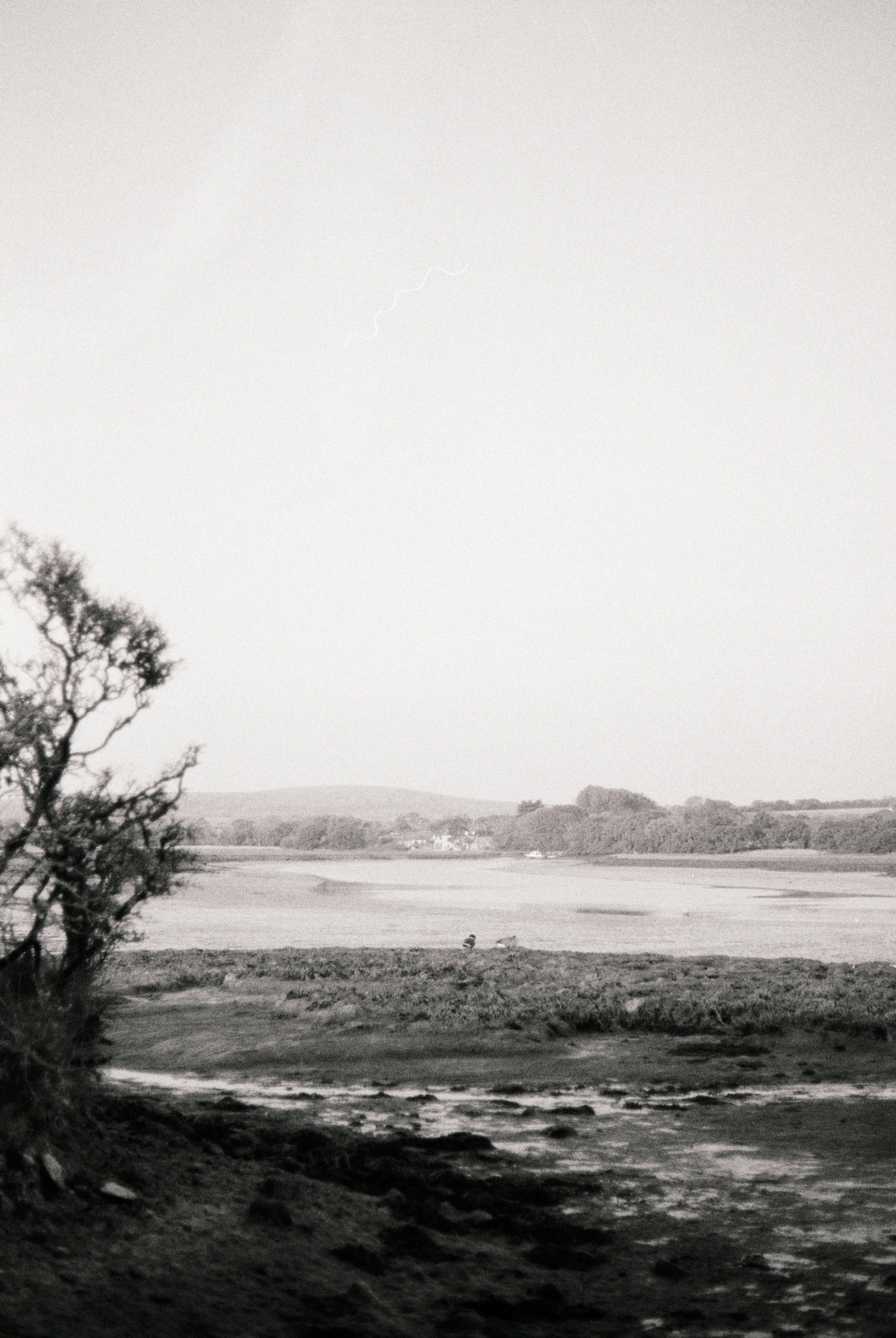 Photo by anniespratt