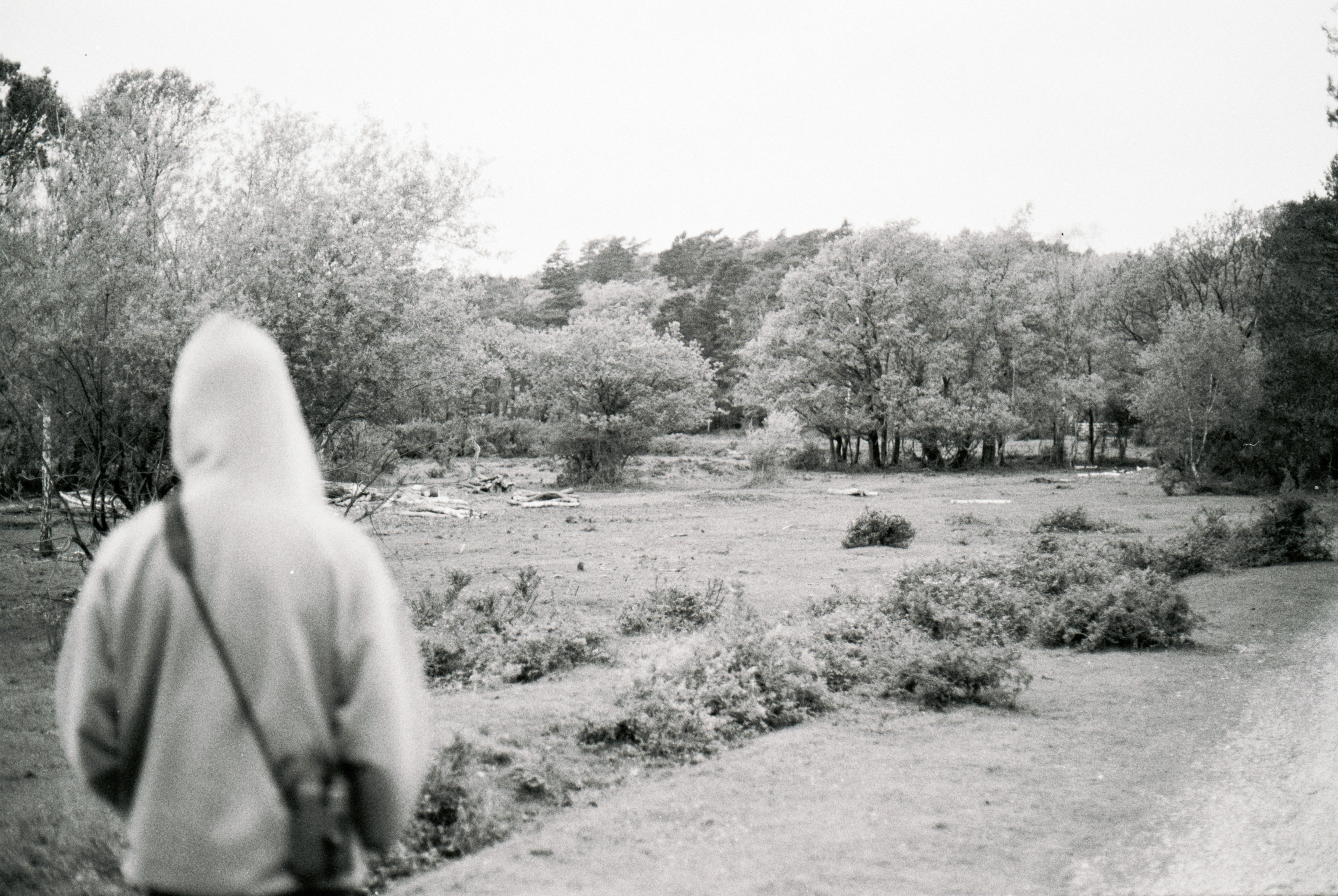 Photo by anniespratt