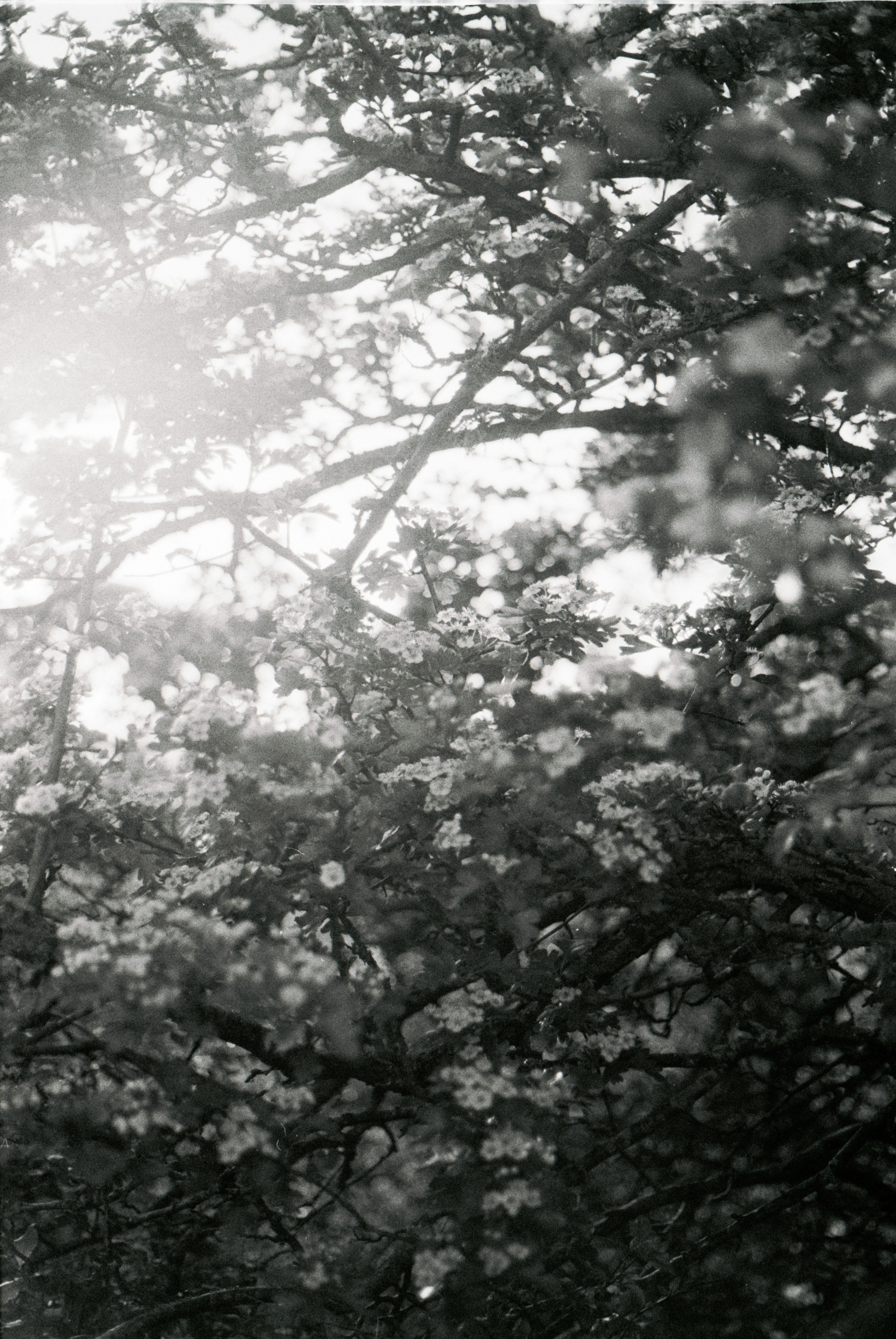 Photo by anniespratt