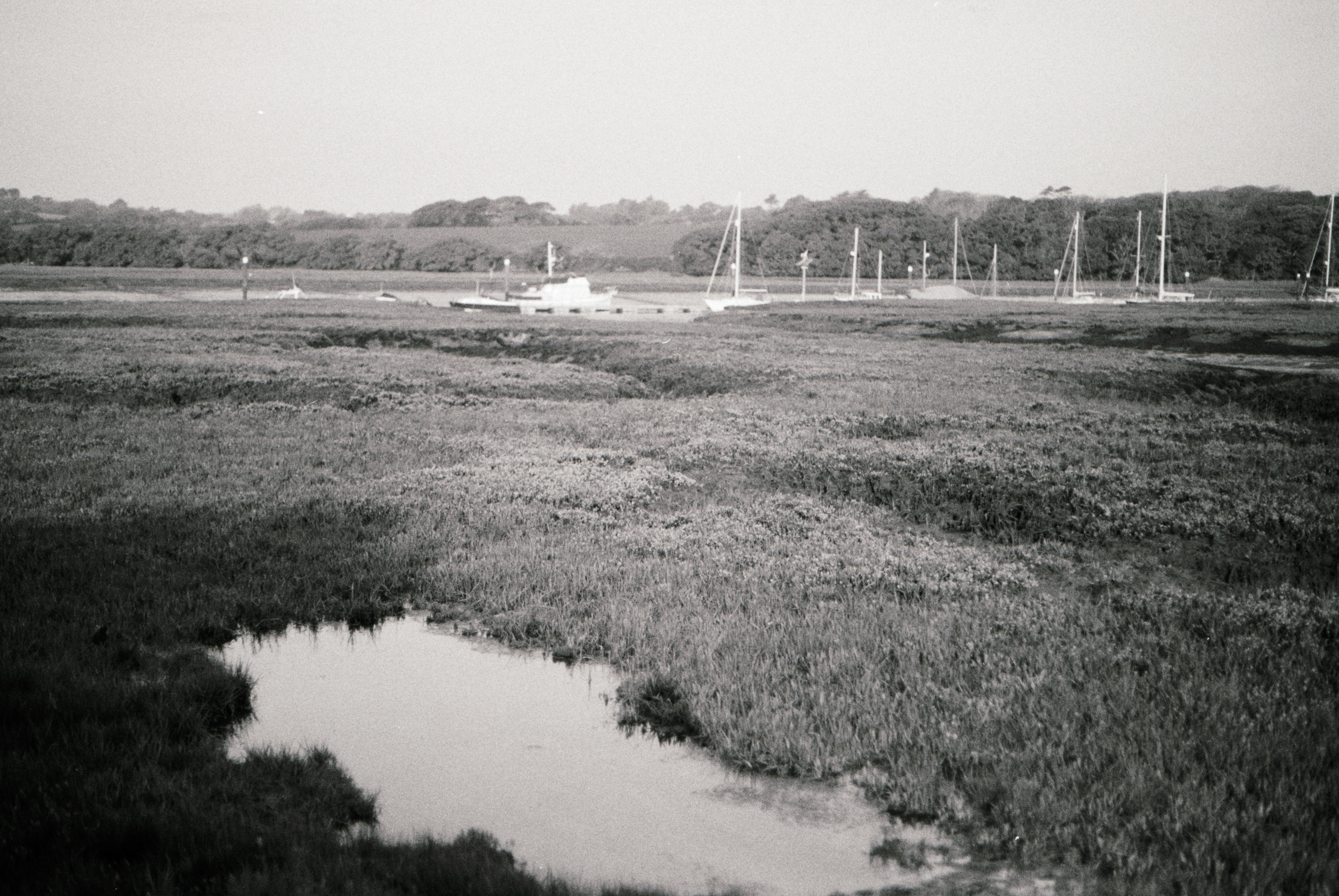 Photo by anniespratt