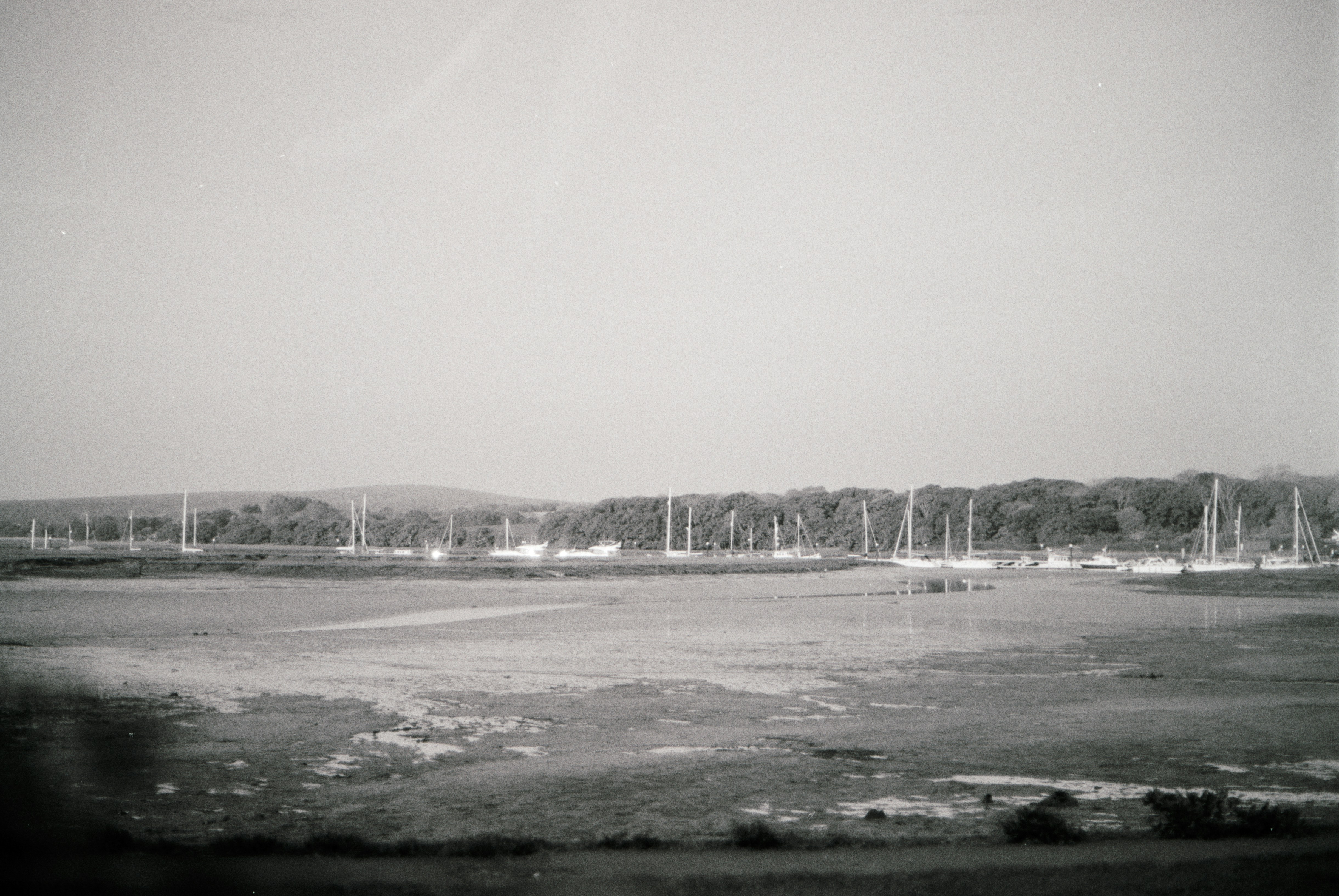 Photo by anniespratt