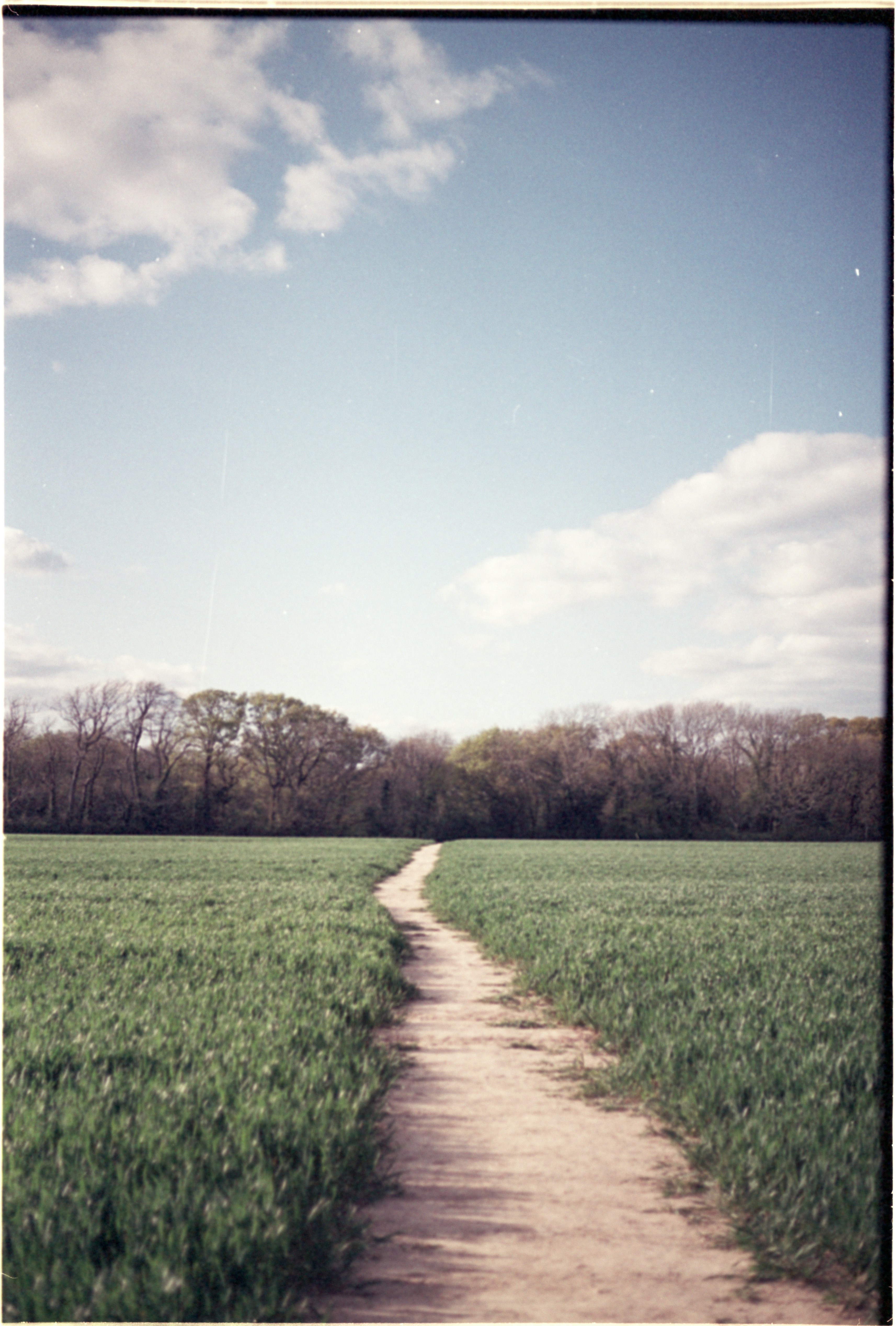 a dirt road going through a green field