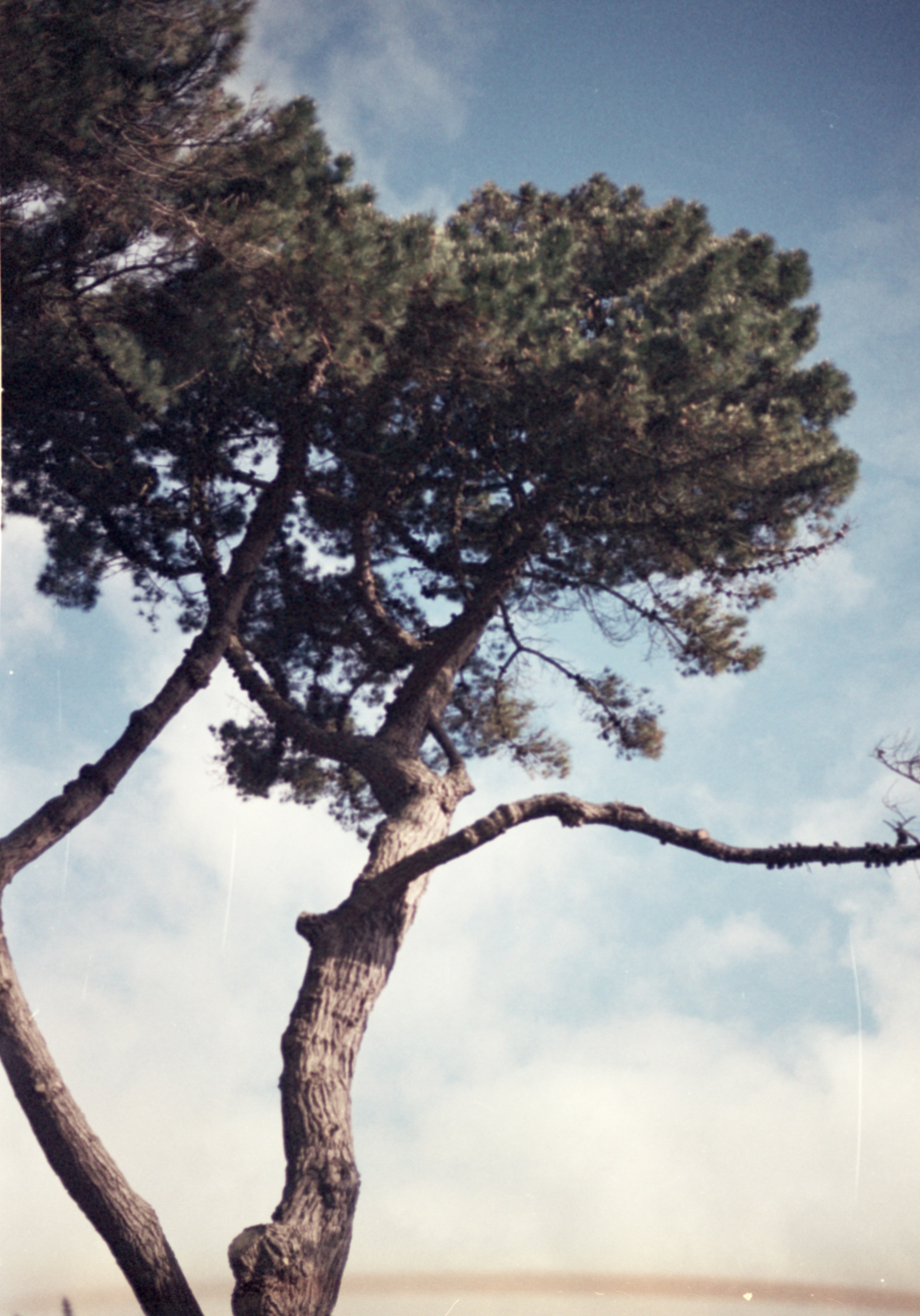 Photo by anniespratt