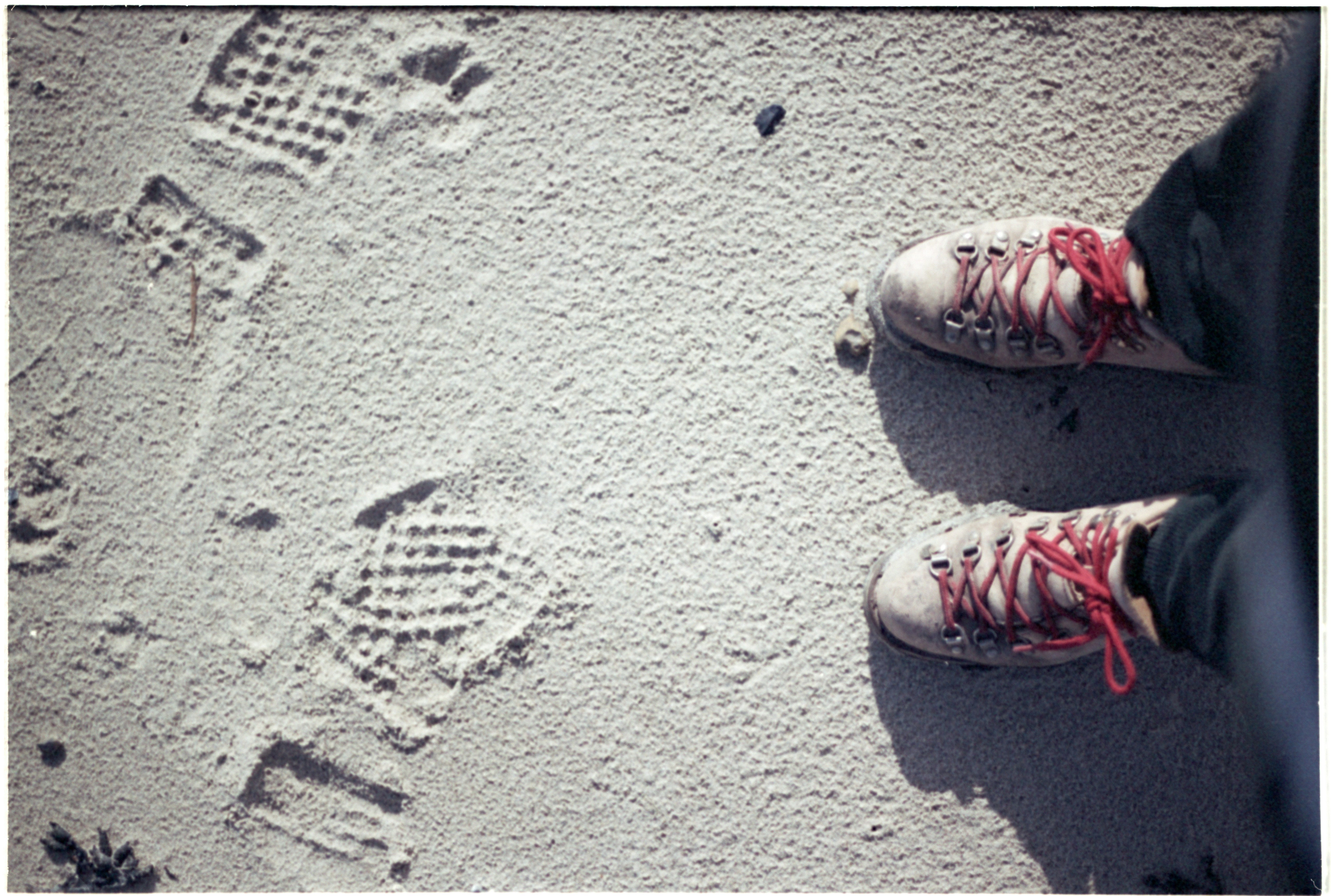 a pair of shoes that are standing in the sand