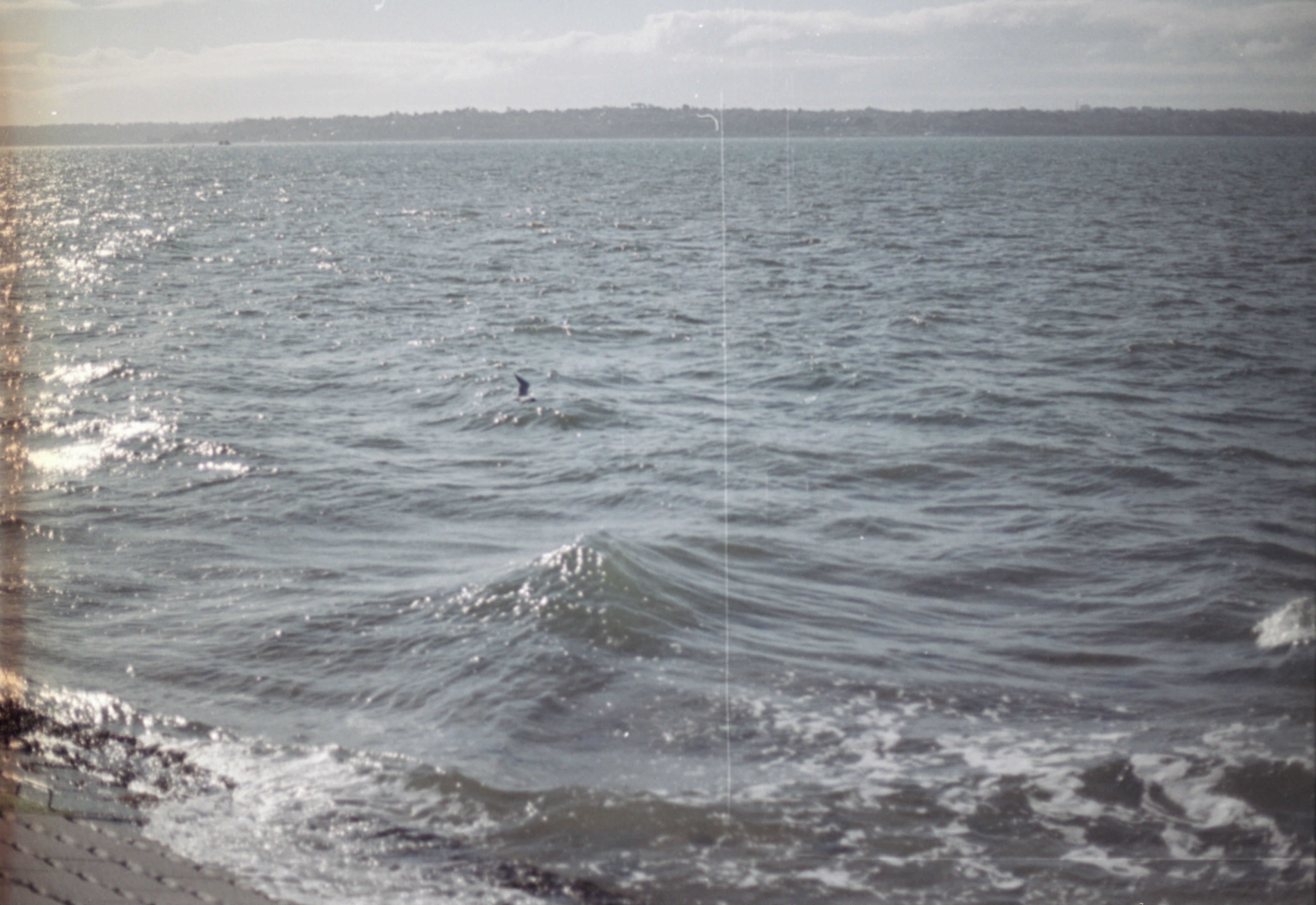 Photo by anniespratt