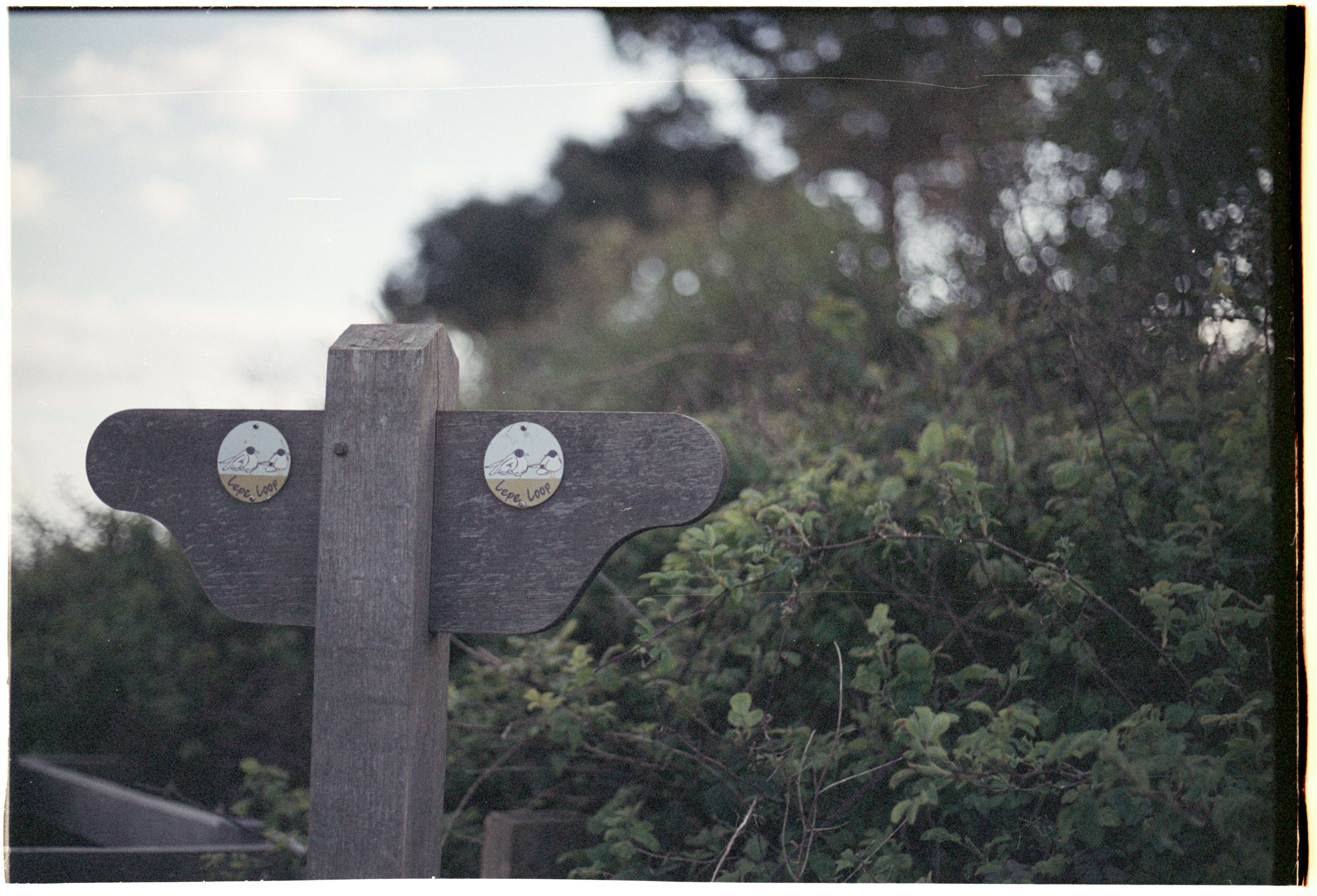 Photo by anniespratt