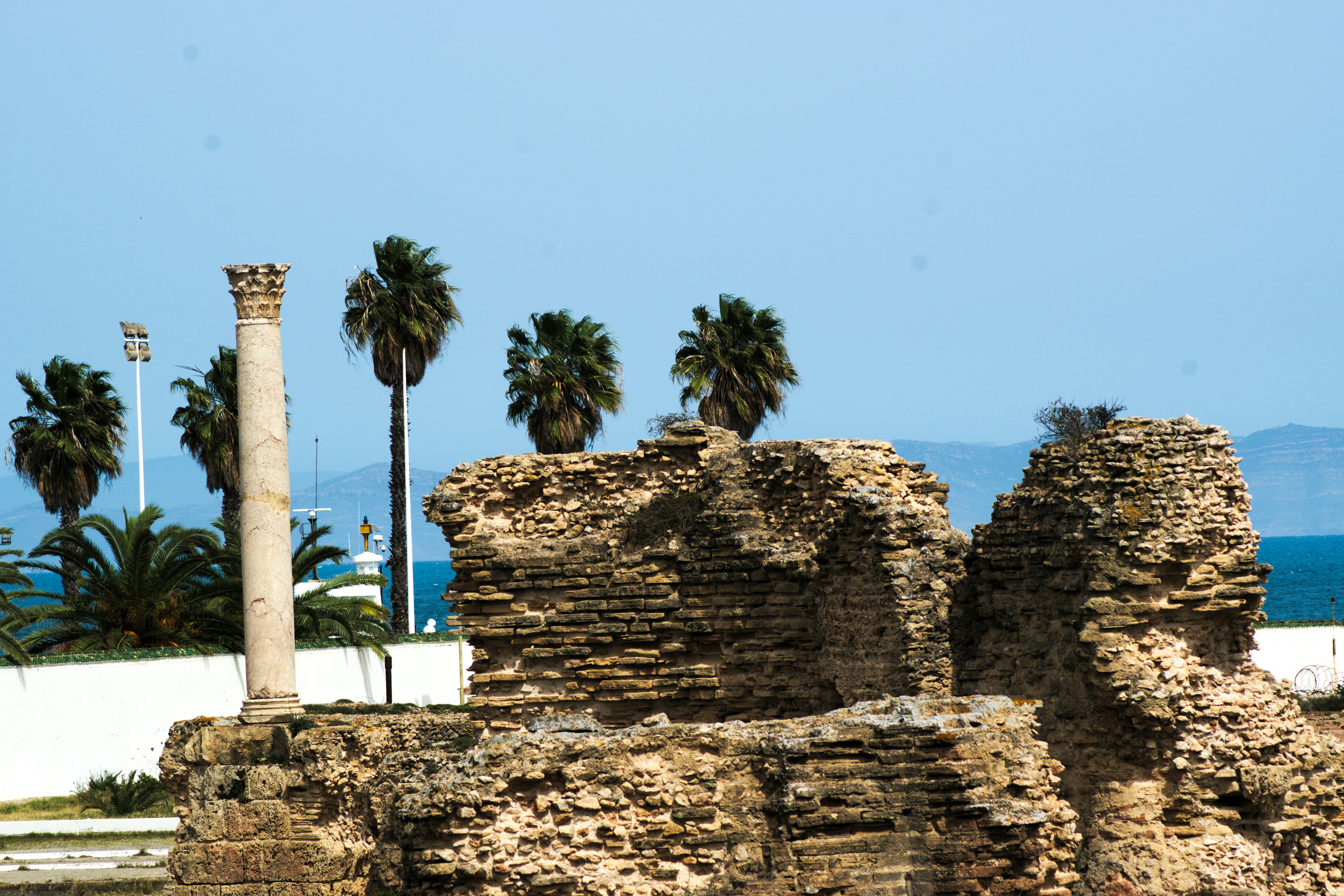 صورة المعرض