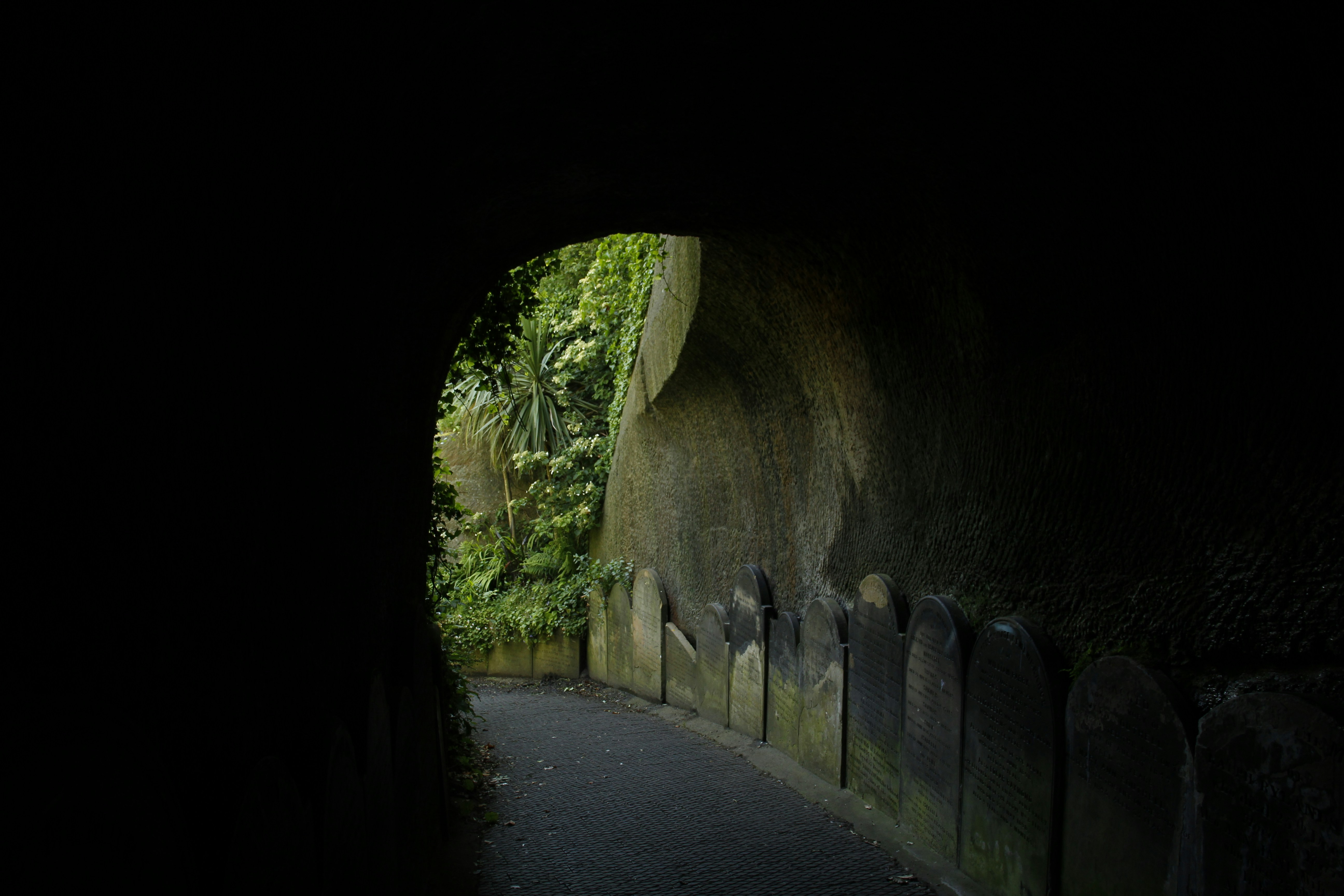 Photo by bloominghyacinth