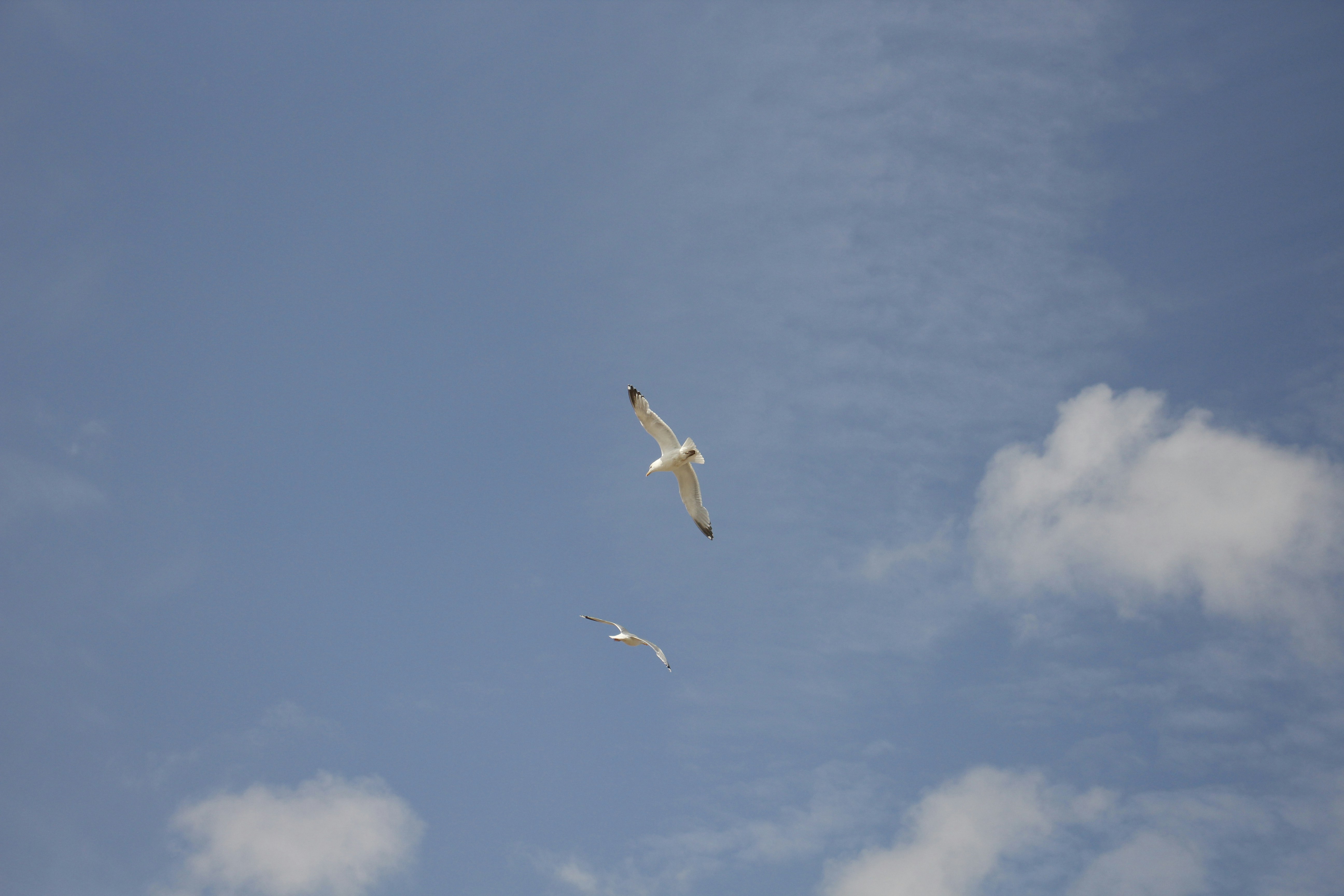 Photo by bloominghyacinth