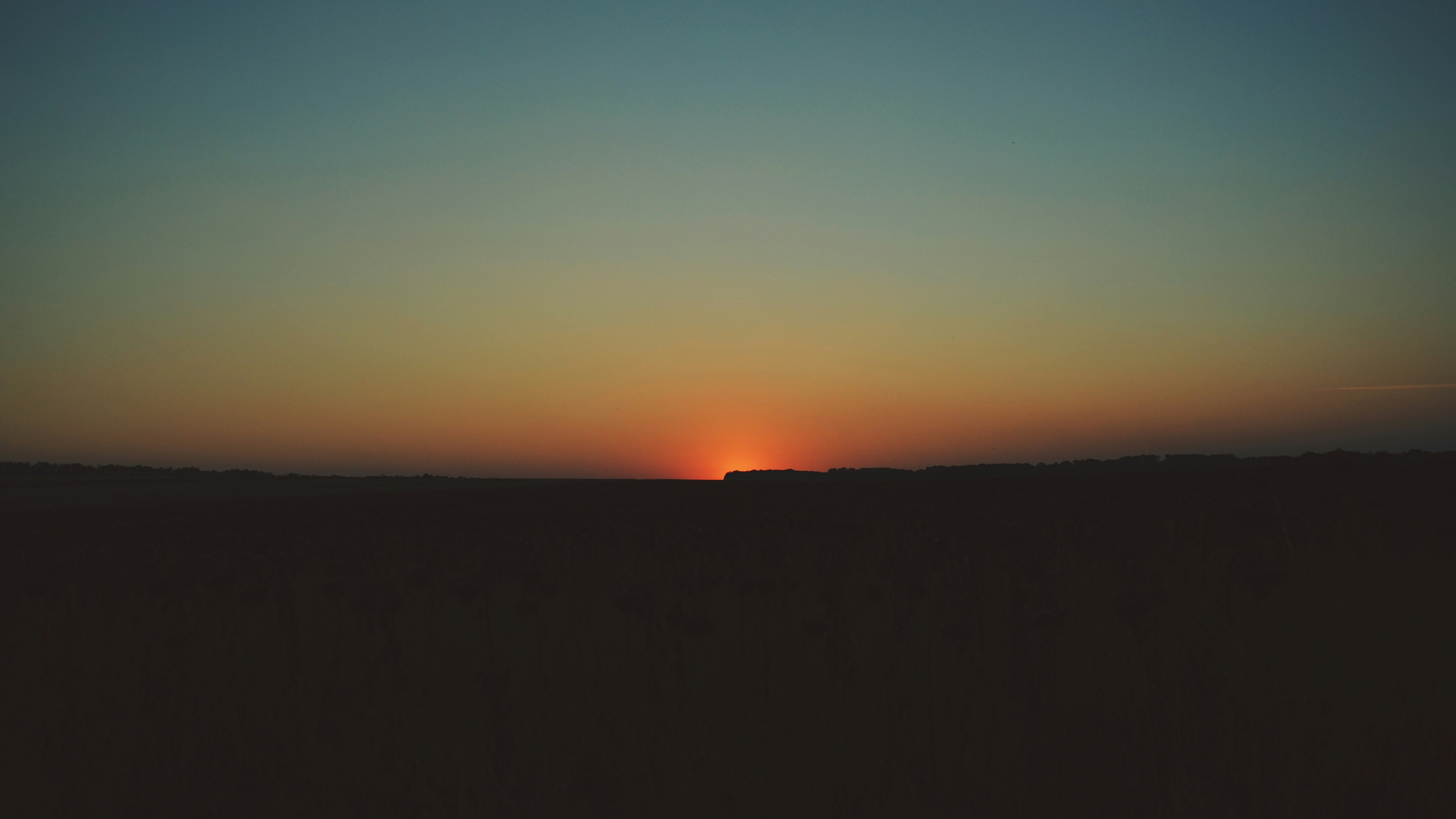 Photo by poliezhaievv