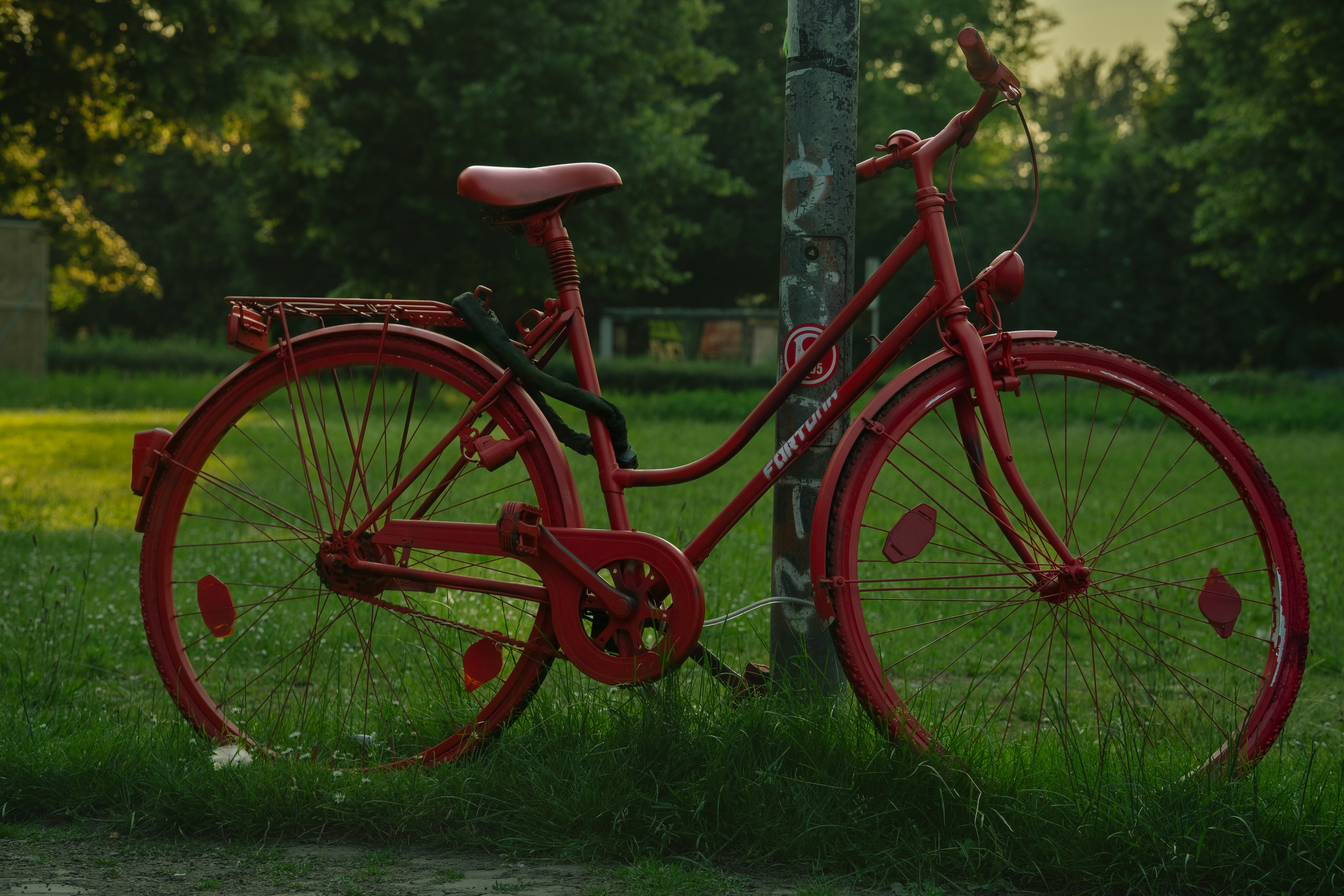 a red bicycle parked next to a tree