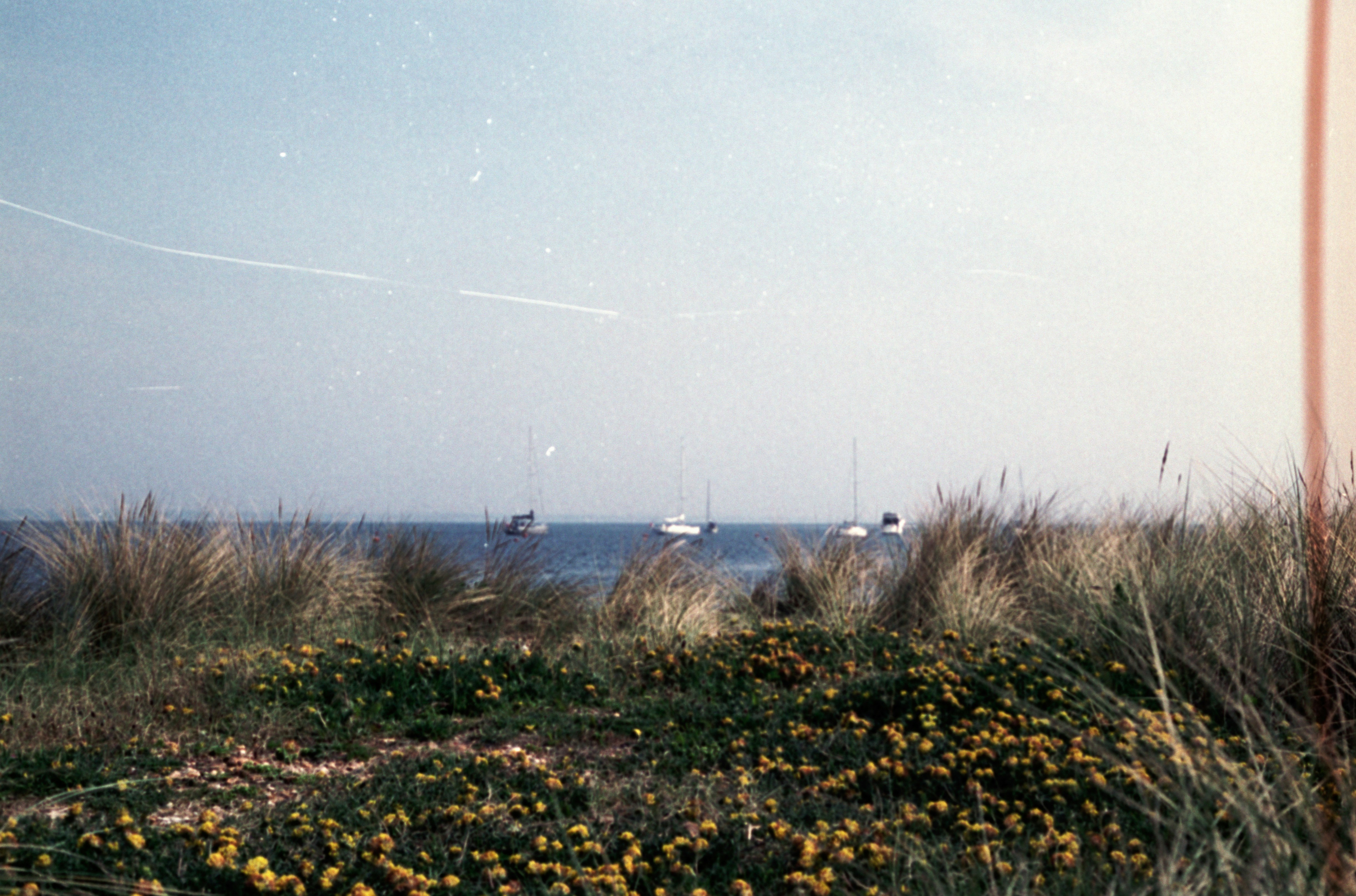 Photo by anniespratt
