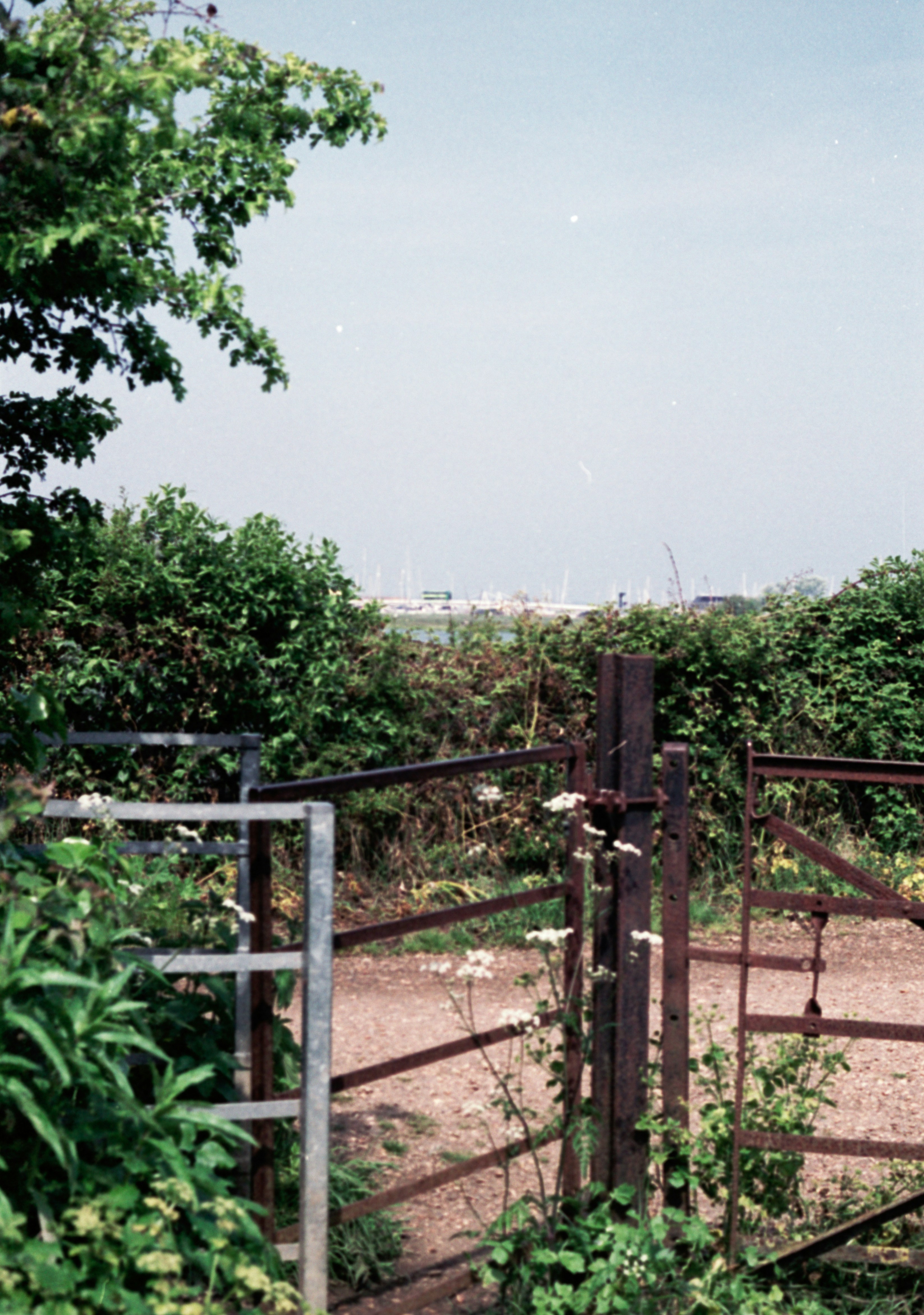 a gated area with a horse in the background