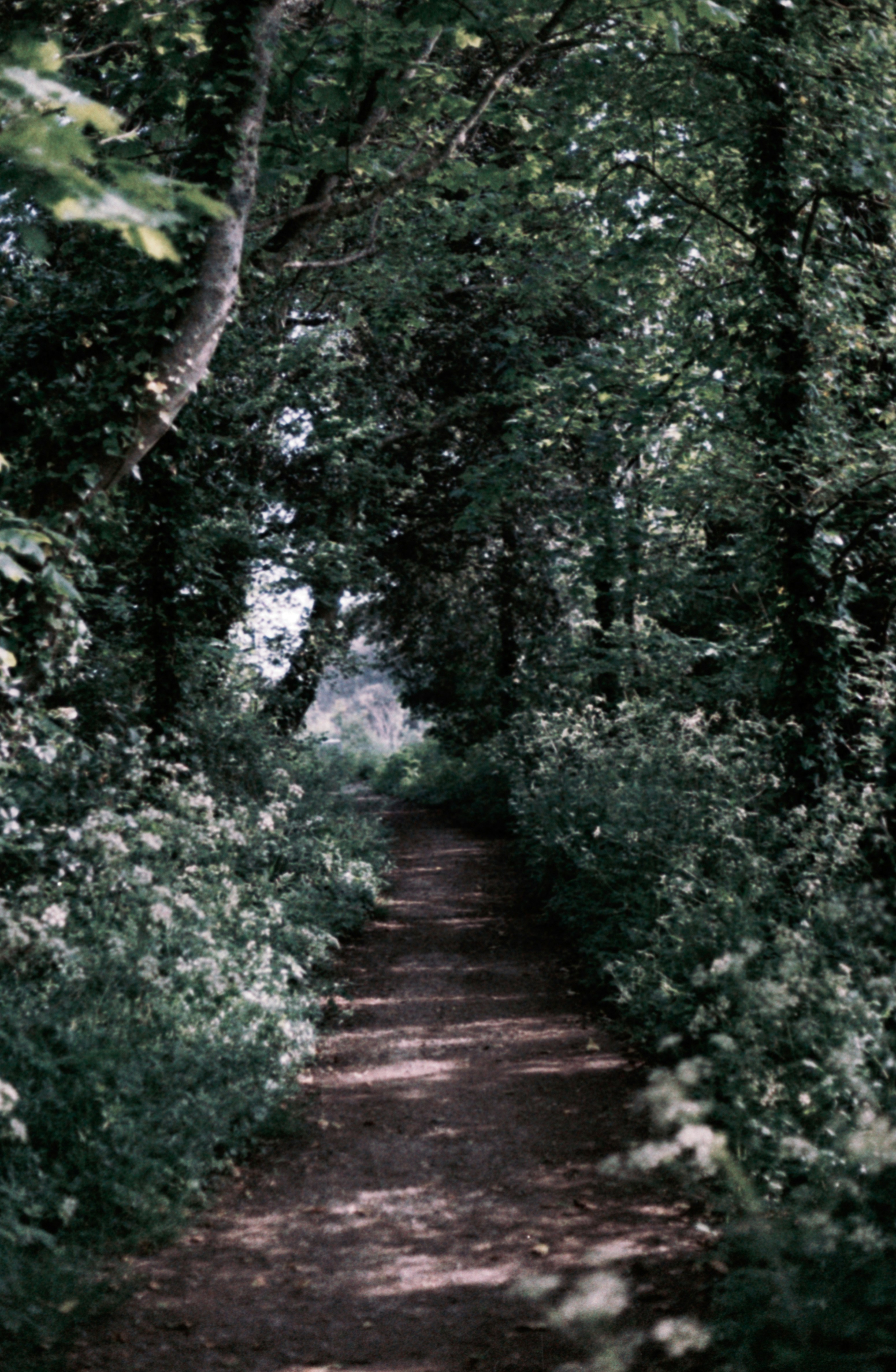 Photo by anniespratt