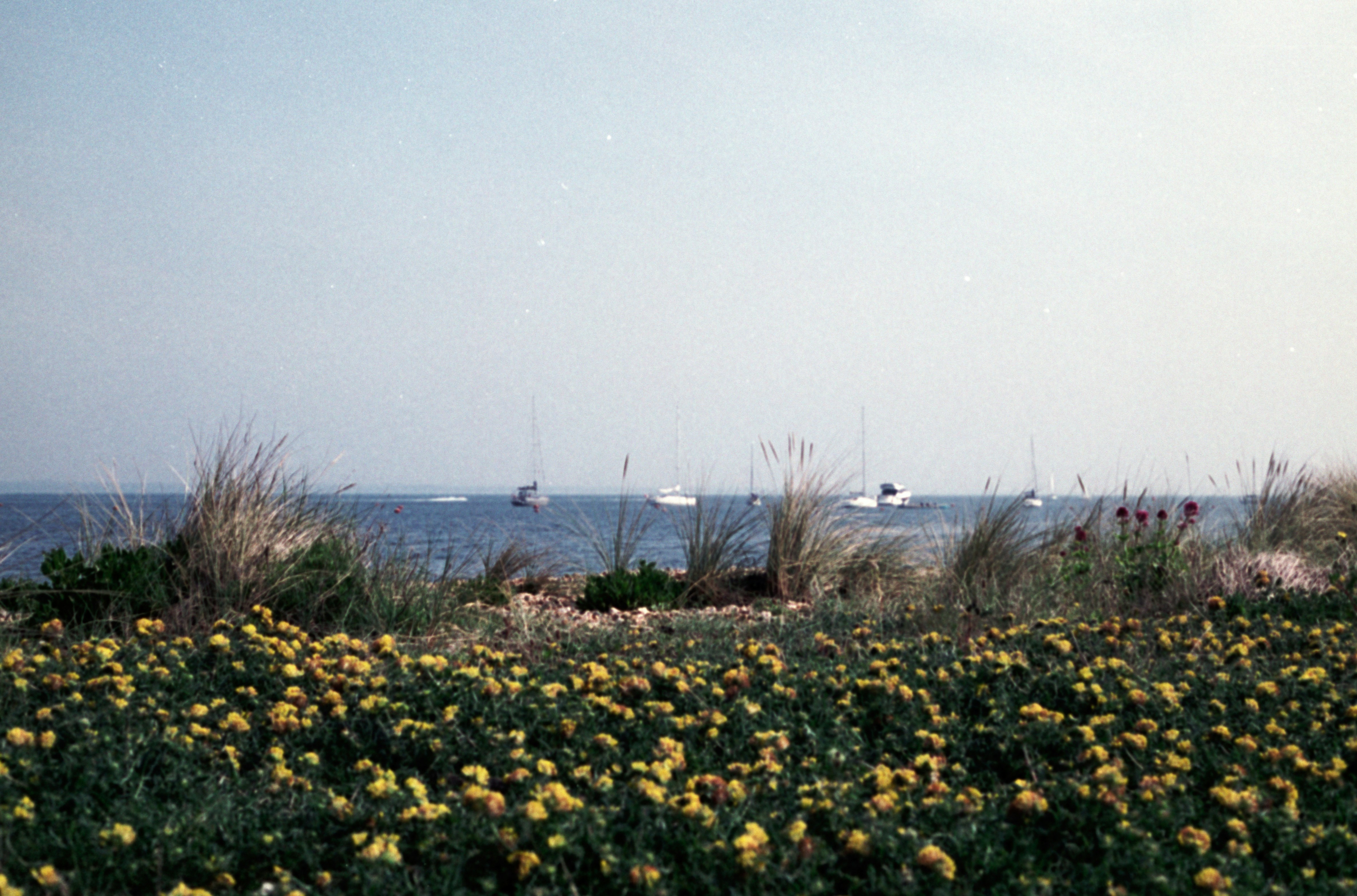 Passport services in Fort Smith