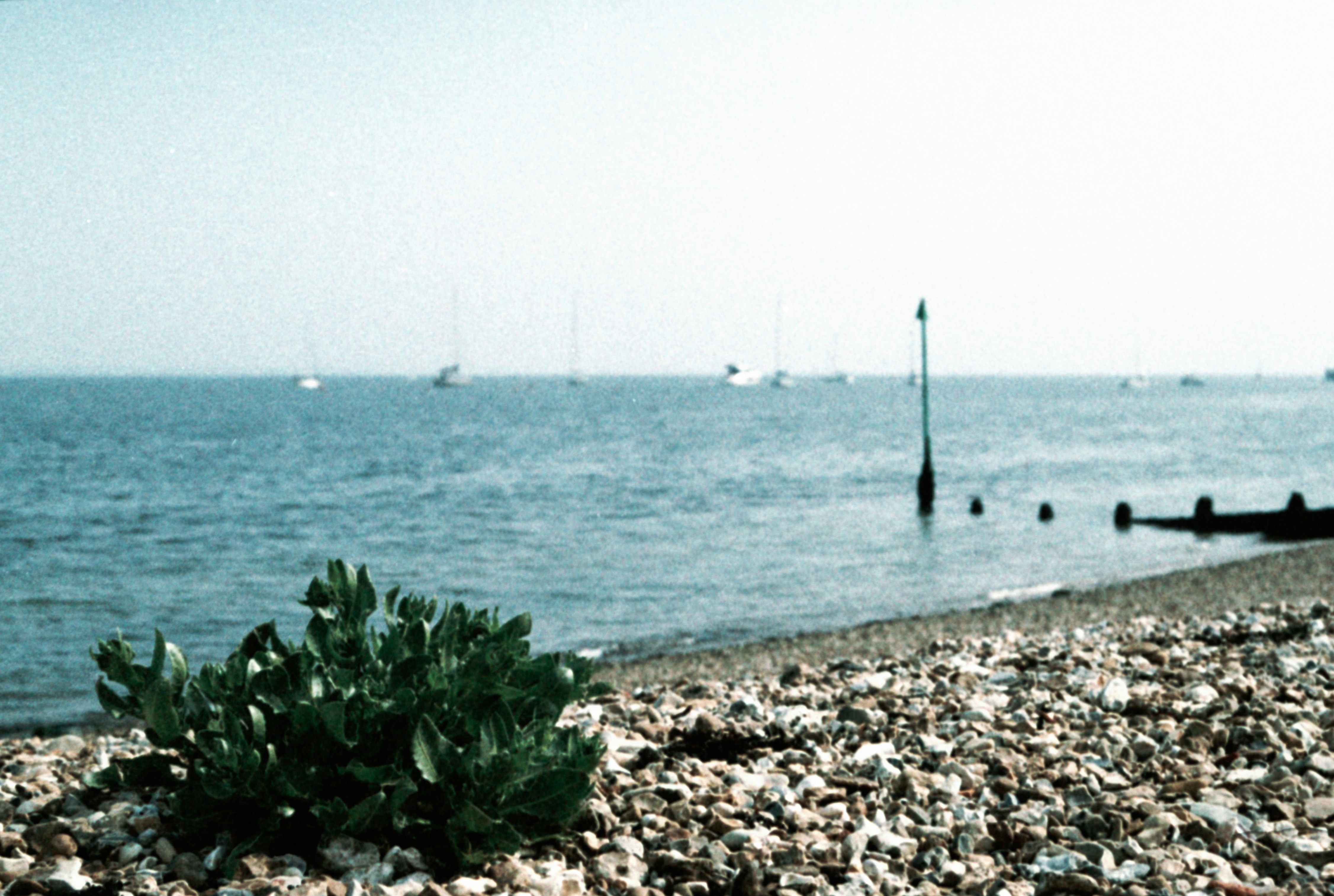 Photo by anniespratt