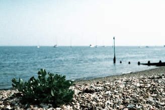 a bunch of rocks on a beach with boats in the water