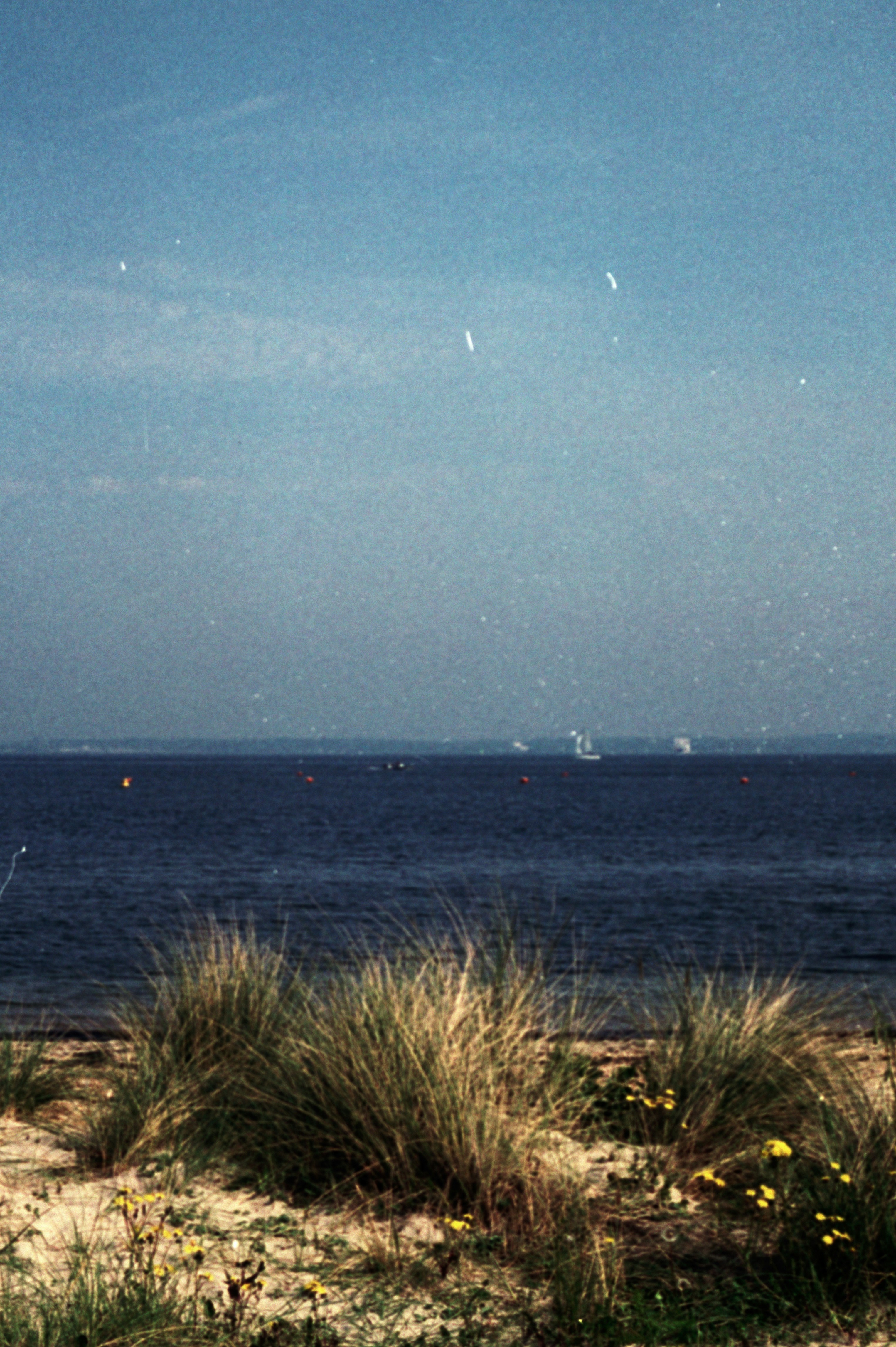 Photo by anniespratt