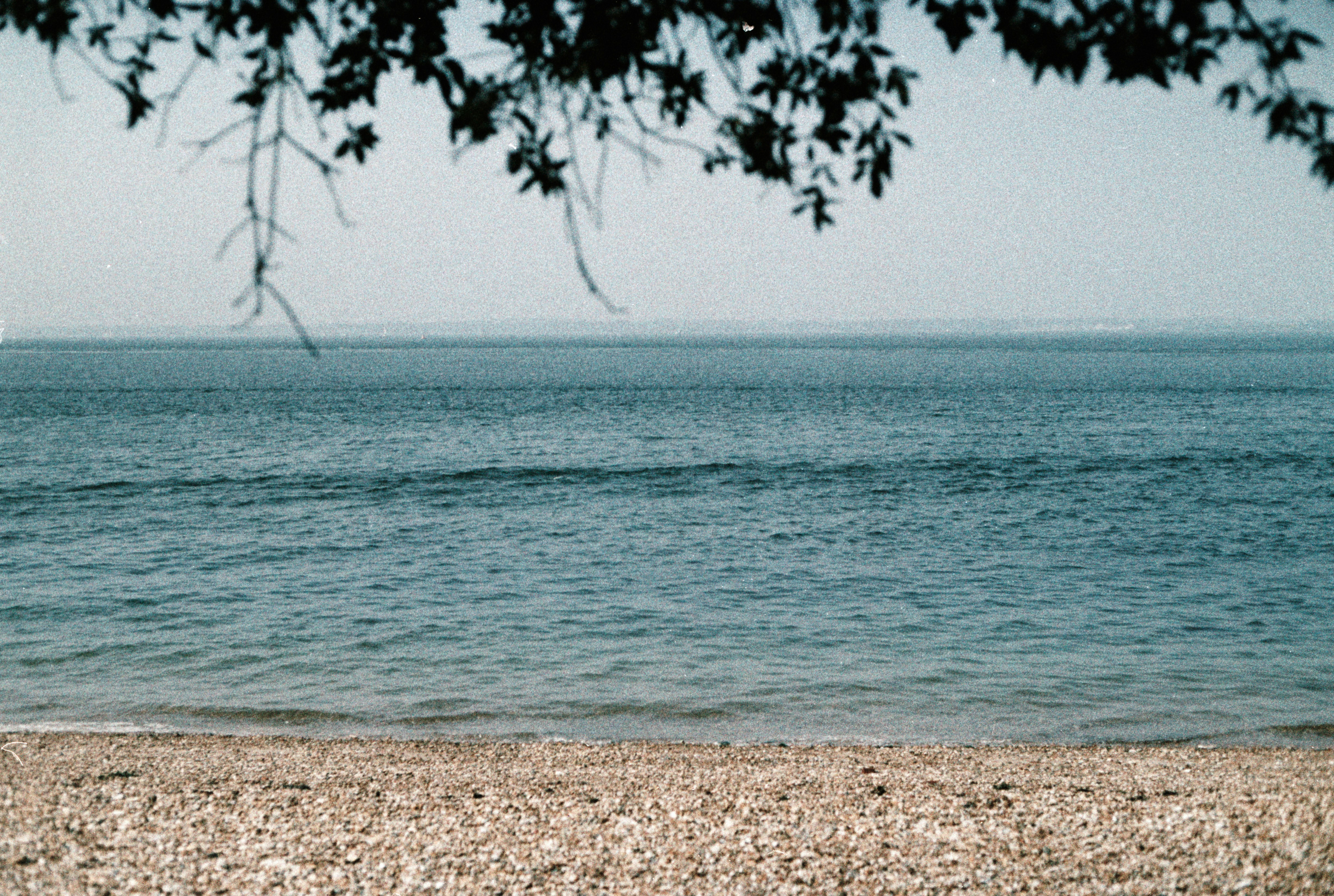 Photo by anniespratt