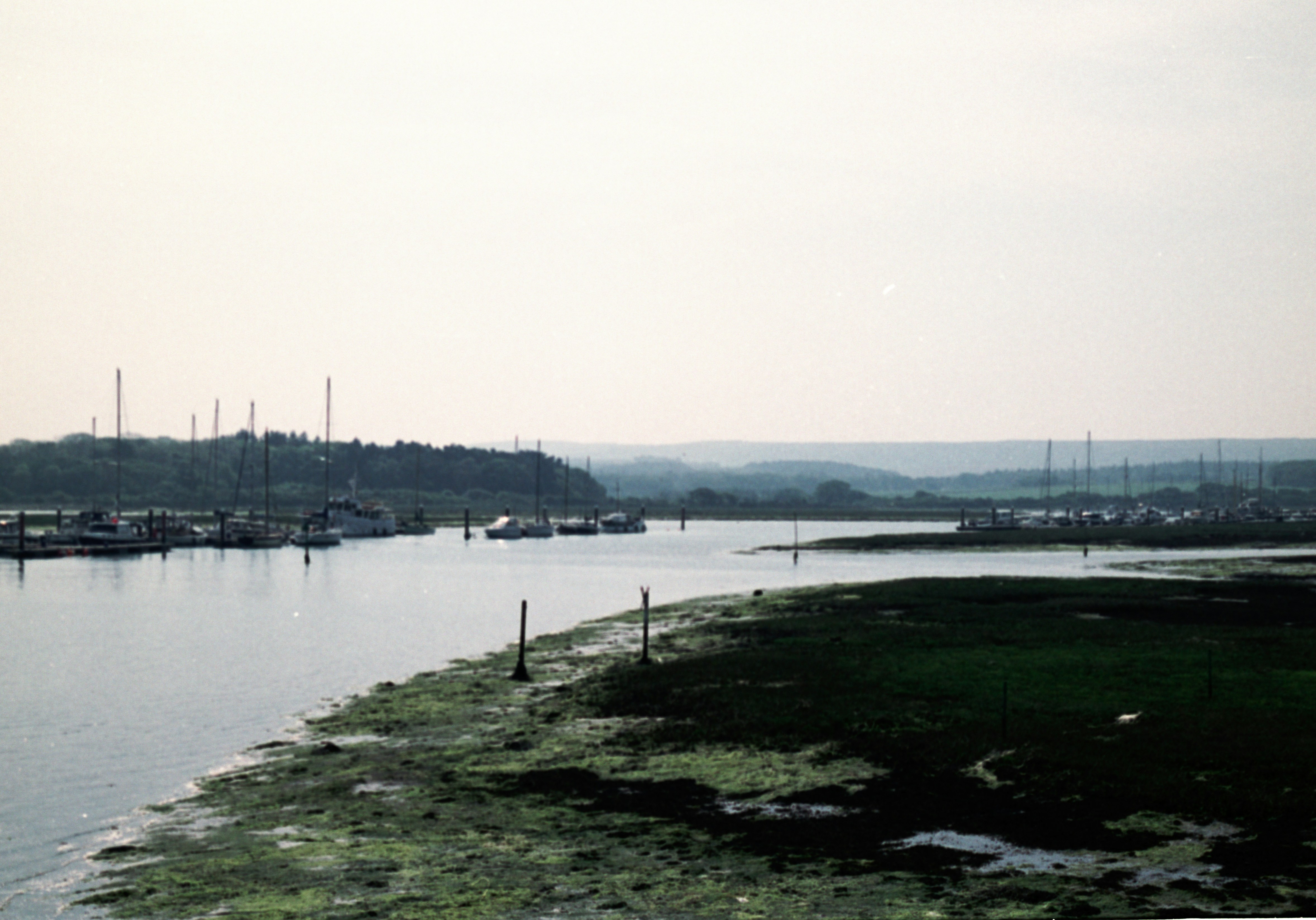 Photo by anniespratt