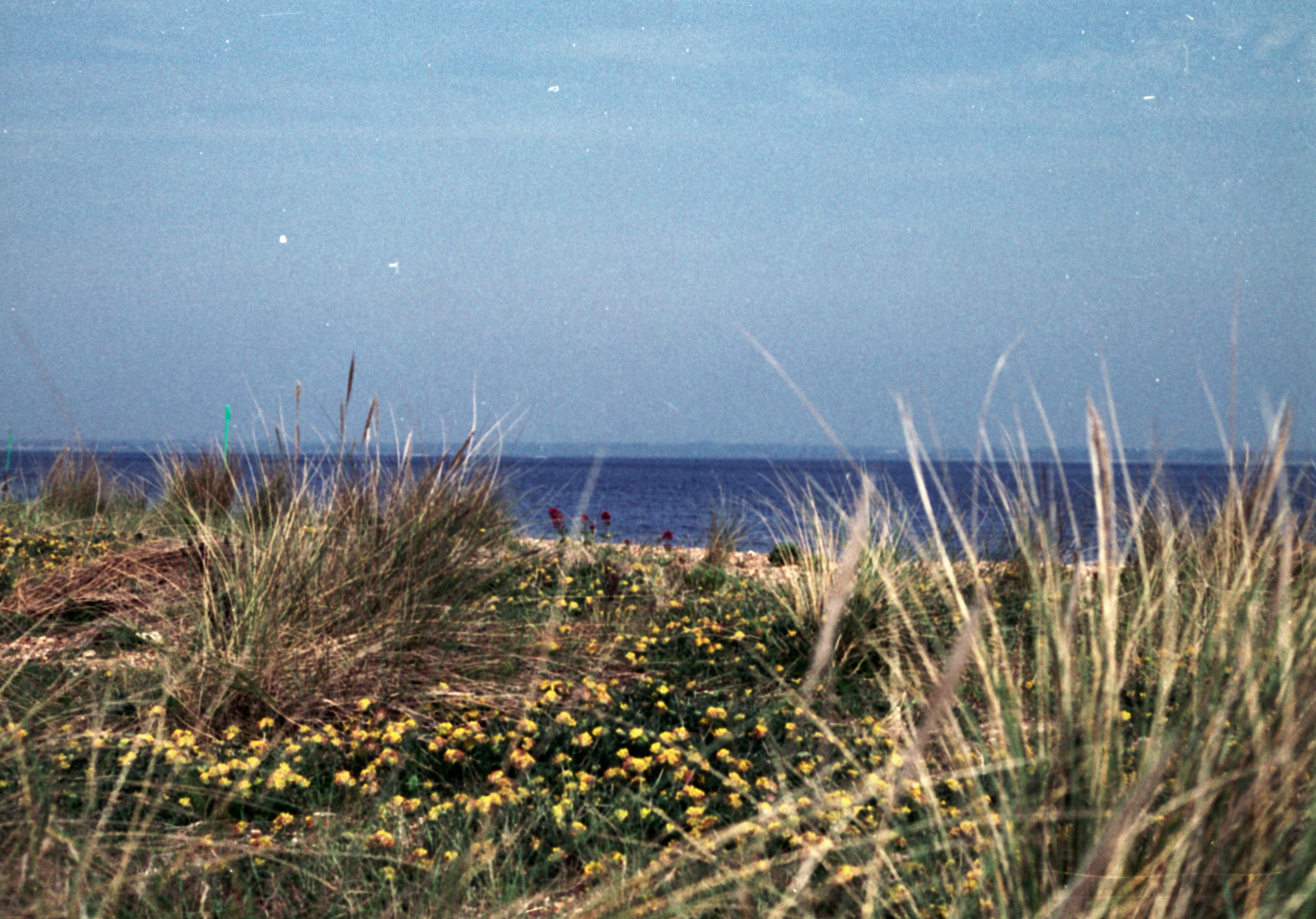 Photo by anniespratt