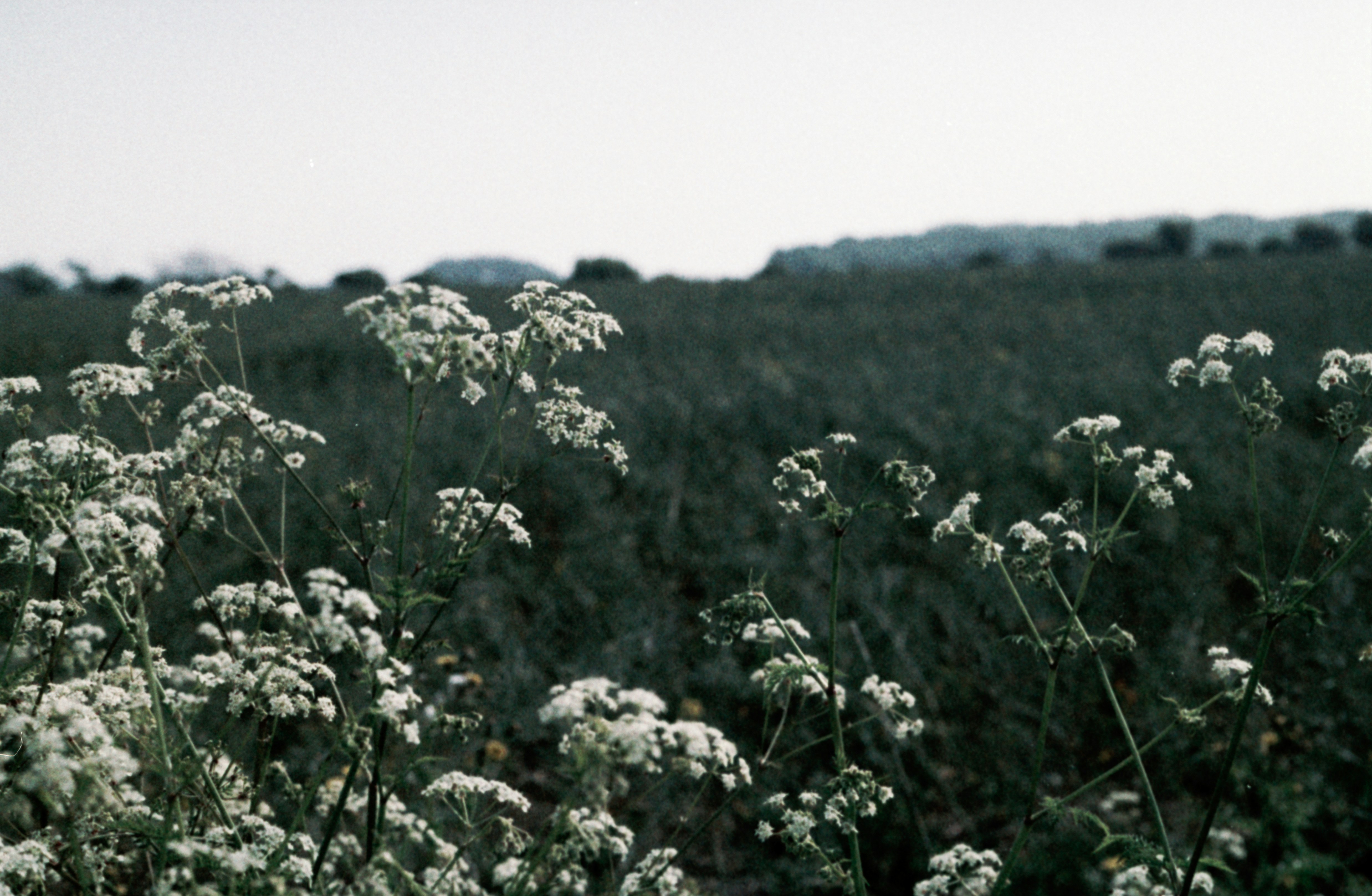 Photo by anniespratt