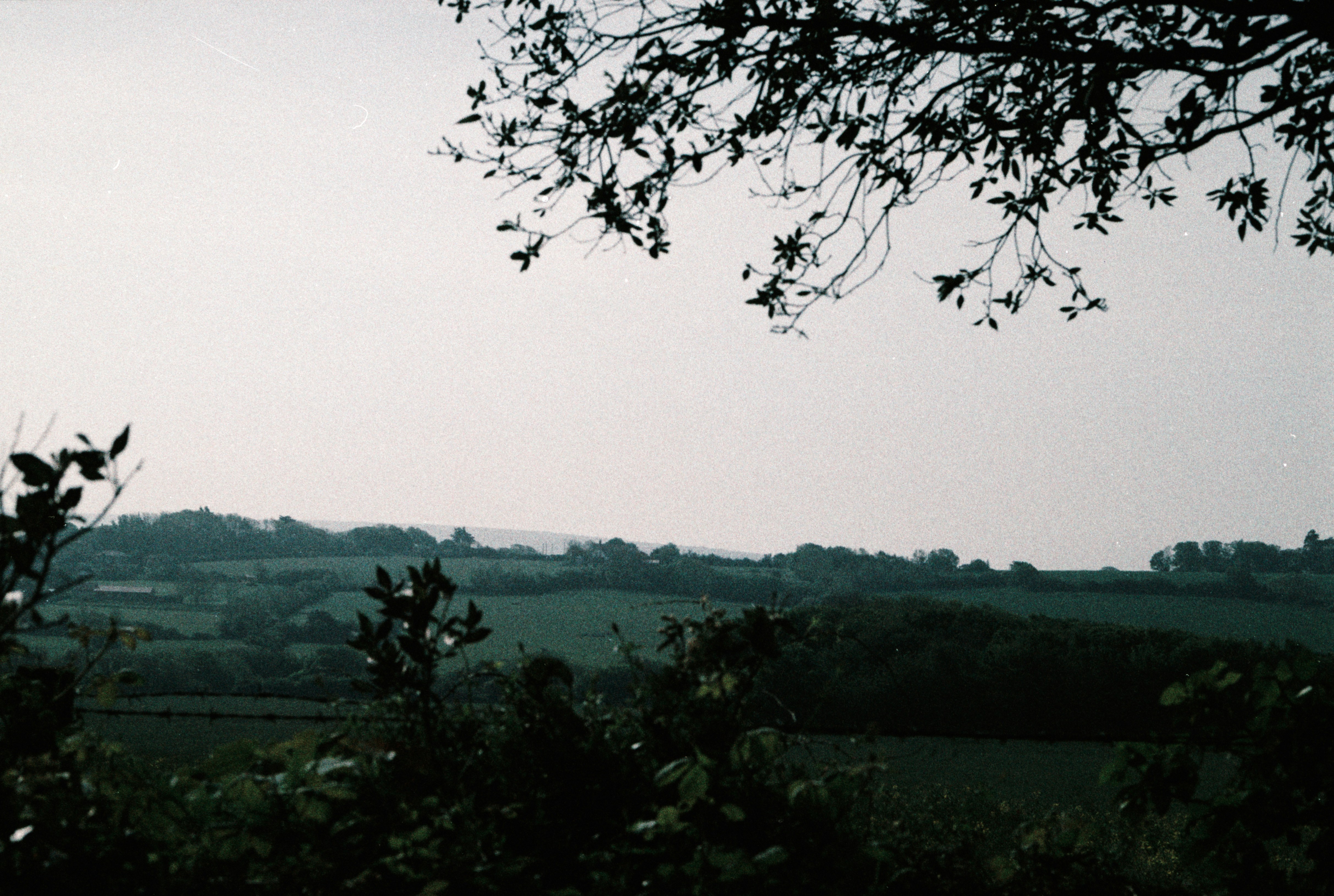 a view of a field with trees and hills in the distance