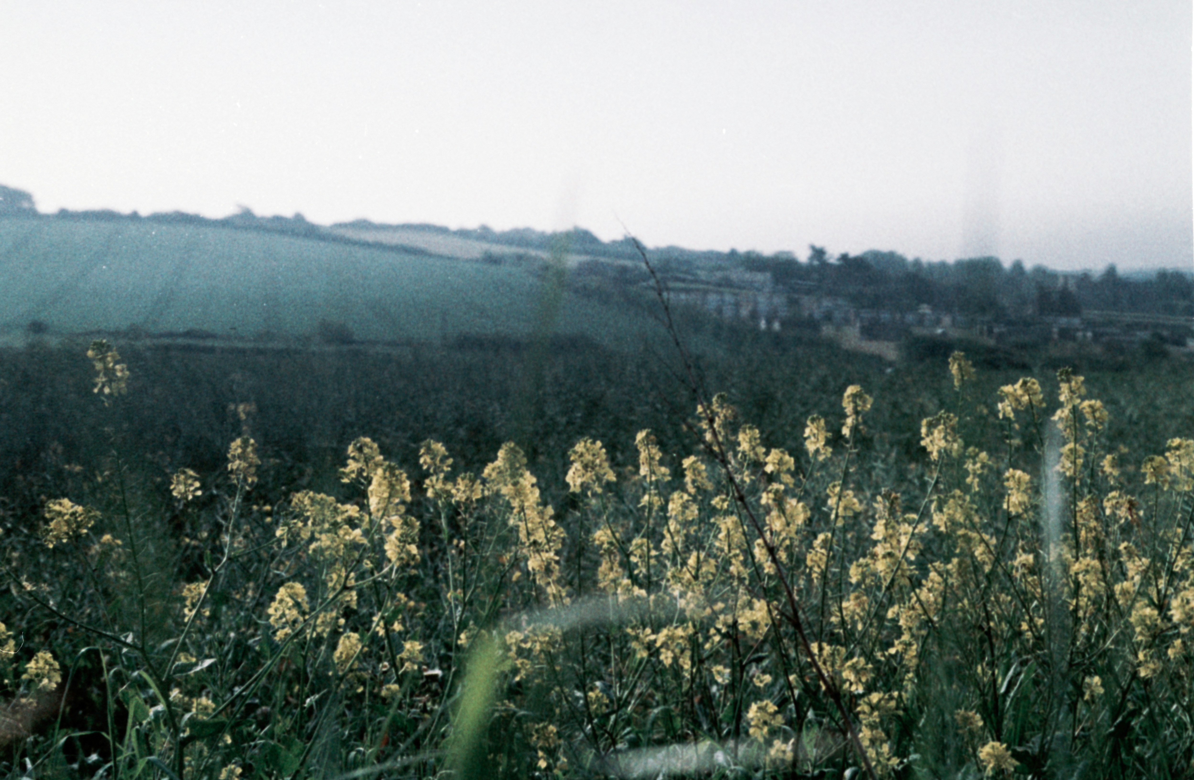 Photo by anniespratt