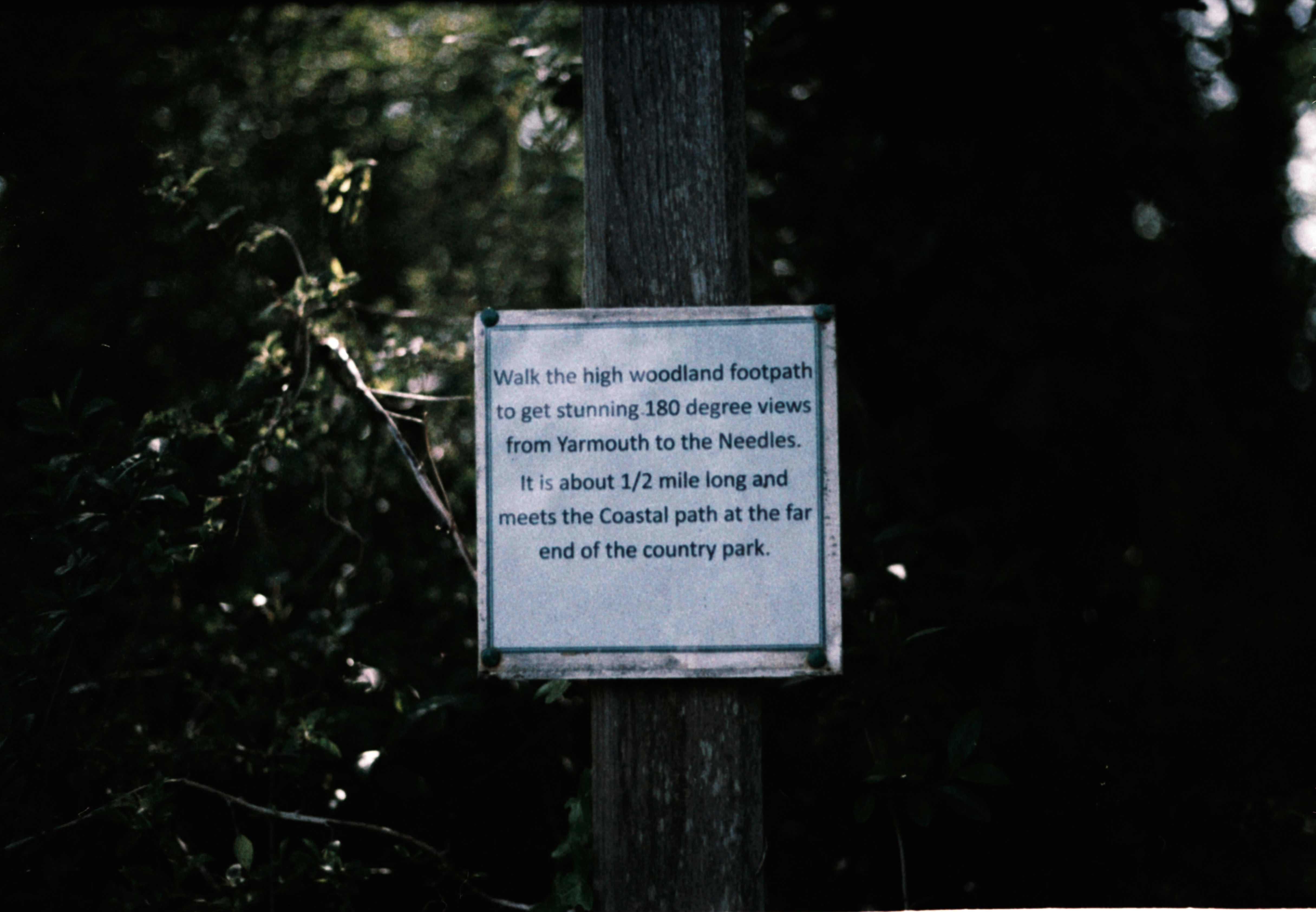 Photo by anniespratt