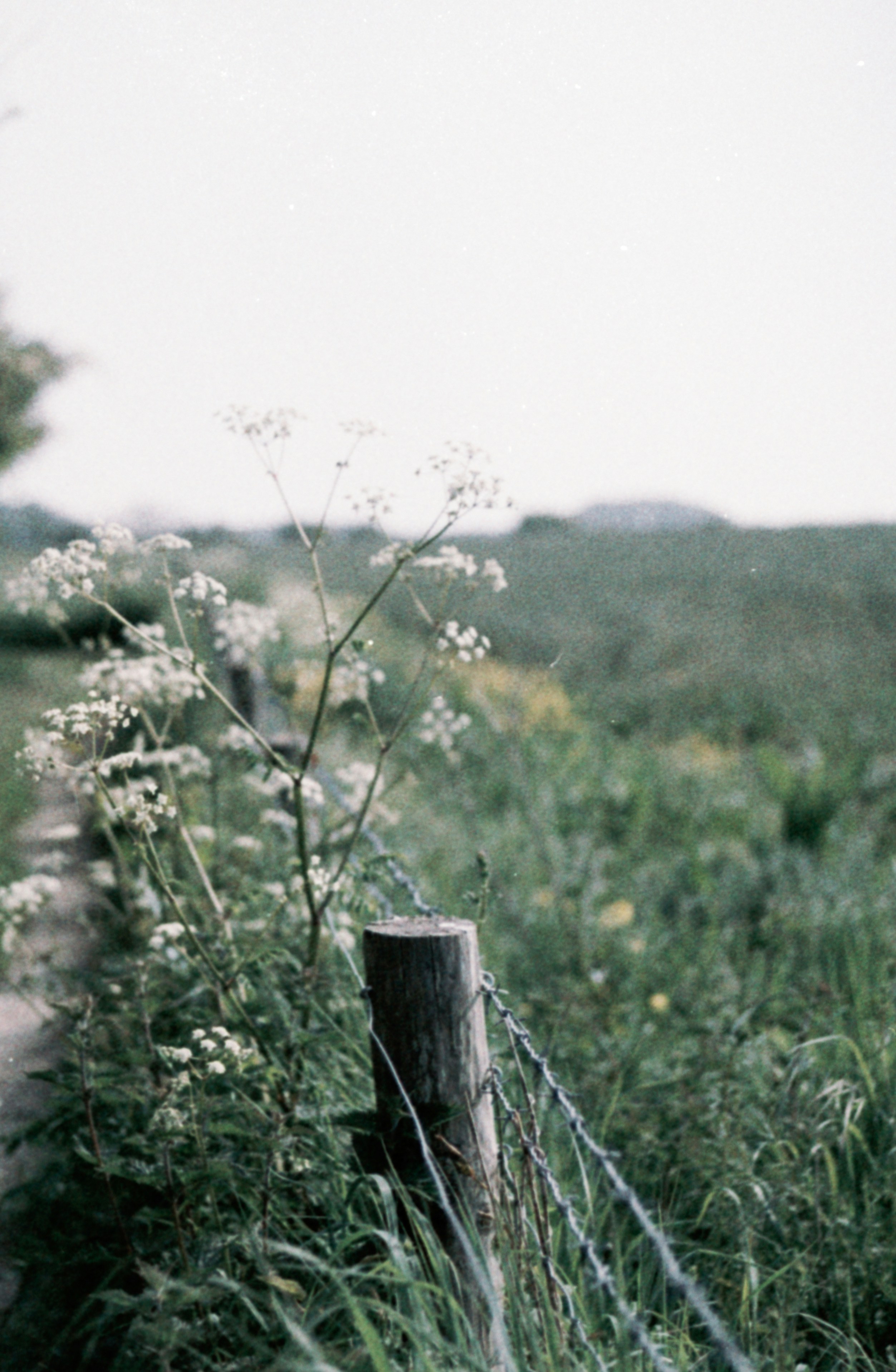 Photo by anniespratt