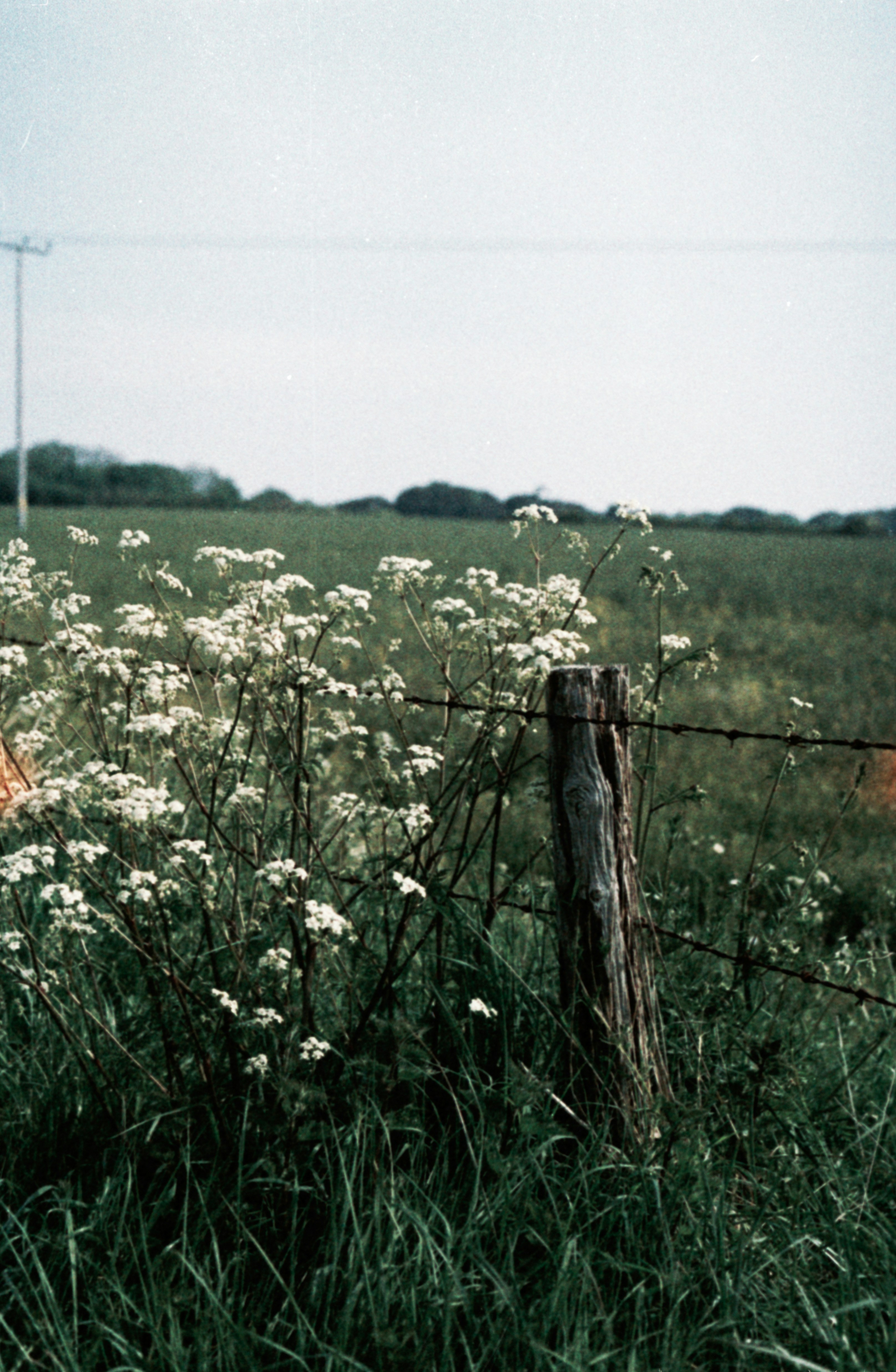 Photo by anniespratt
