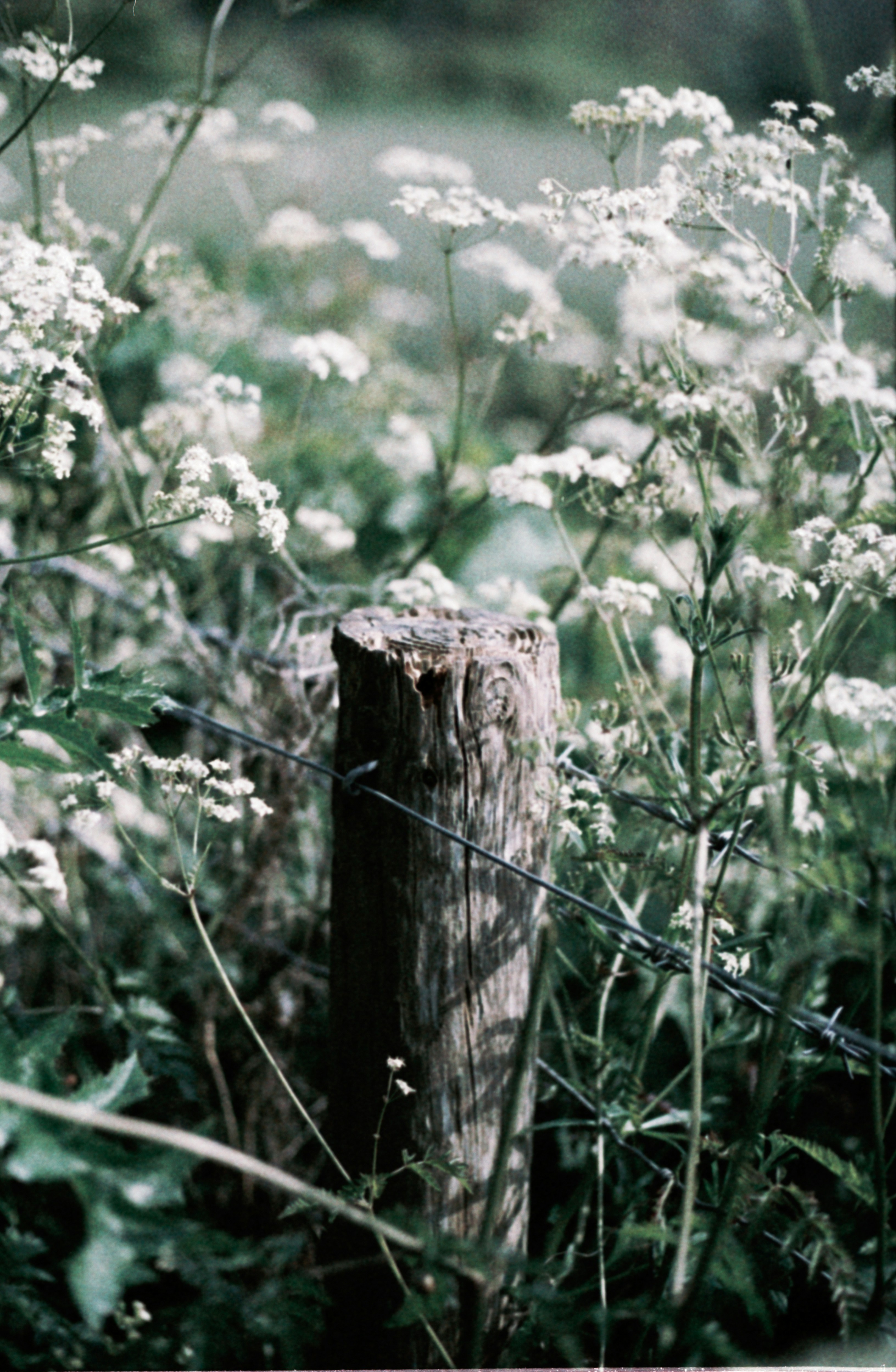 Photo by anniespratt