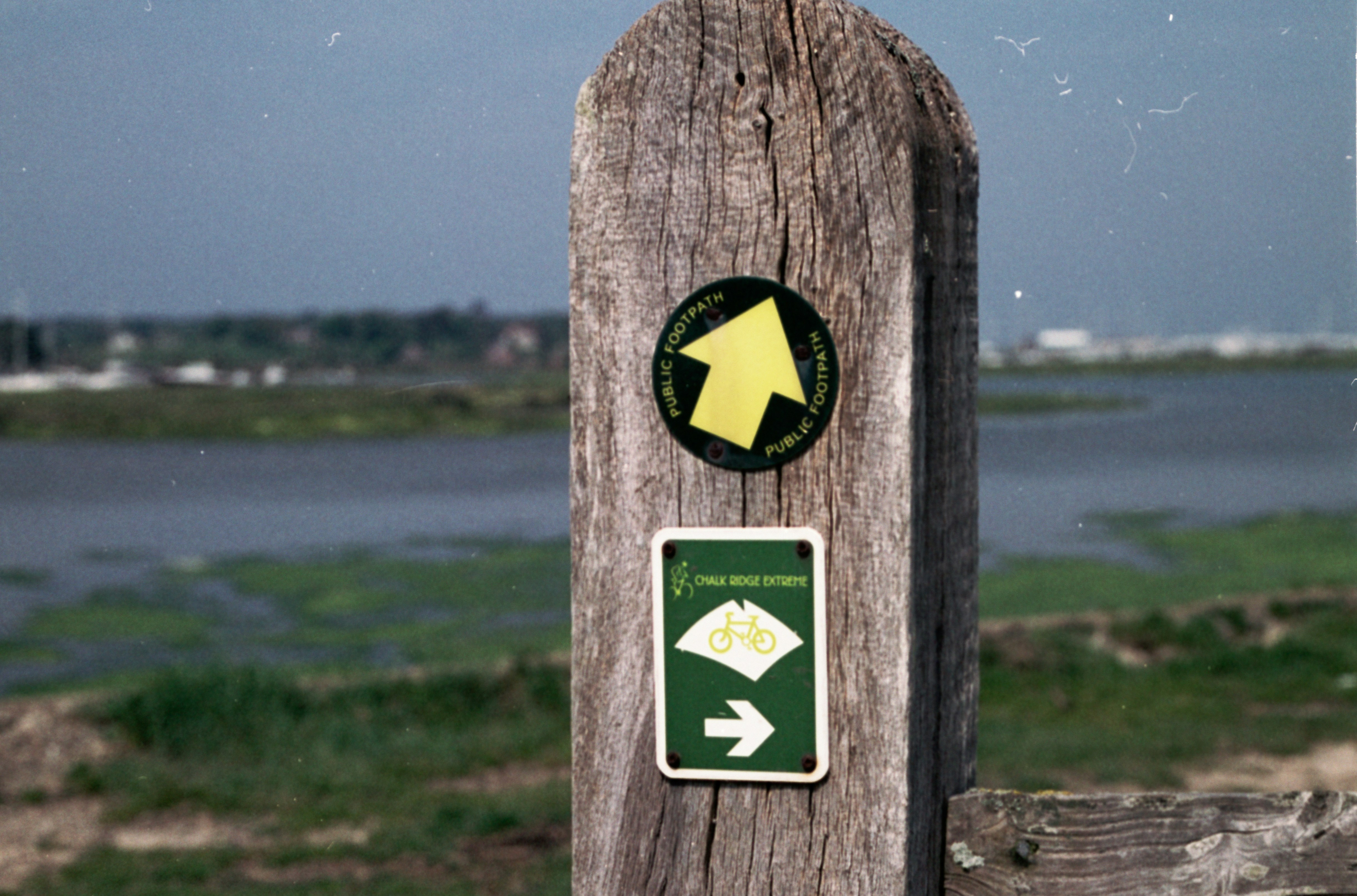 Photo by anniespratt