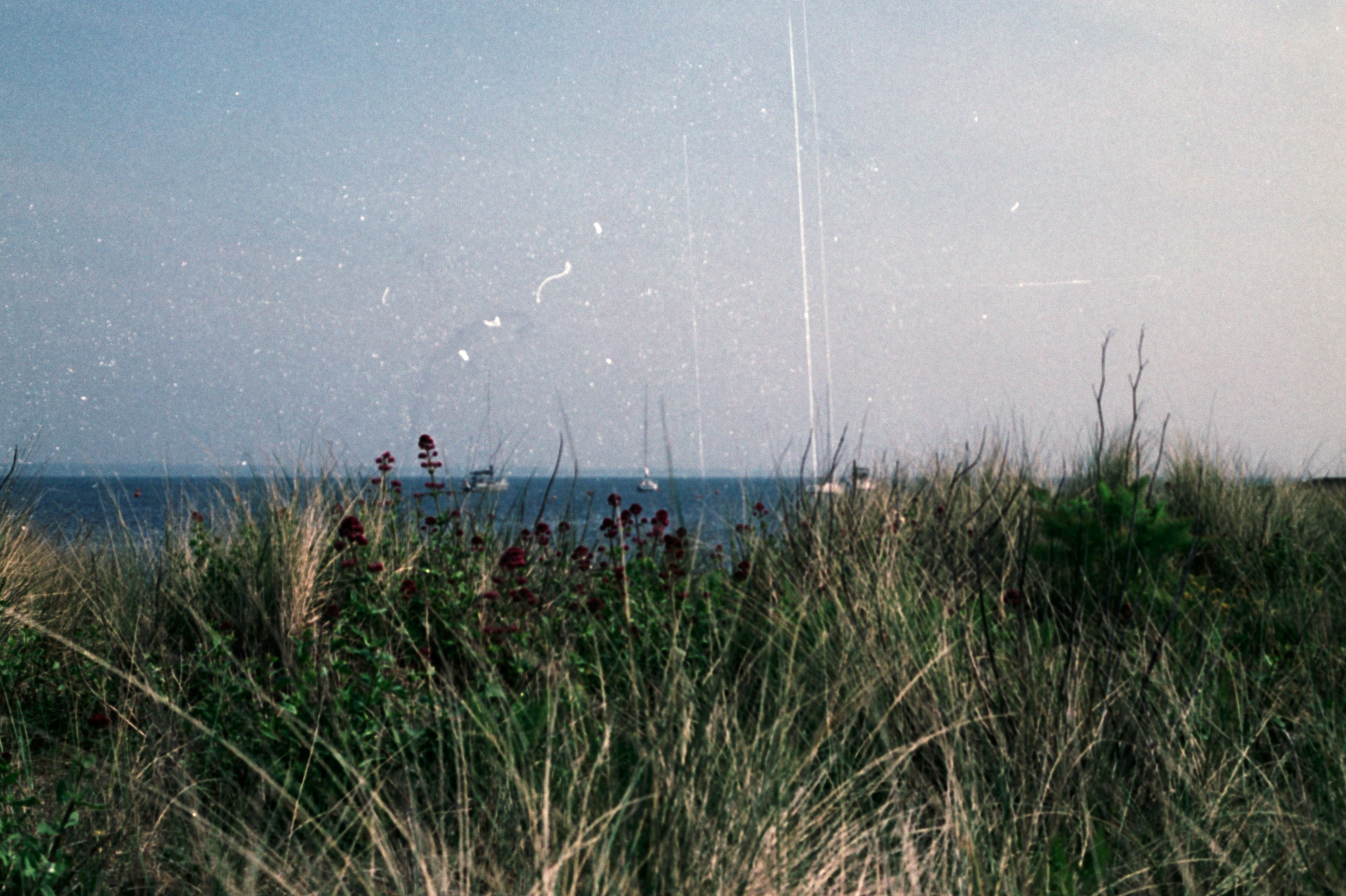 Photo by anniespratt
