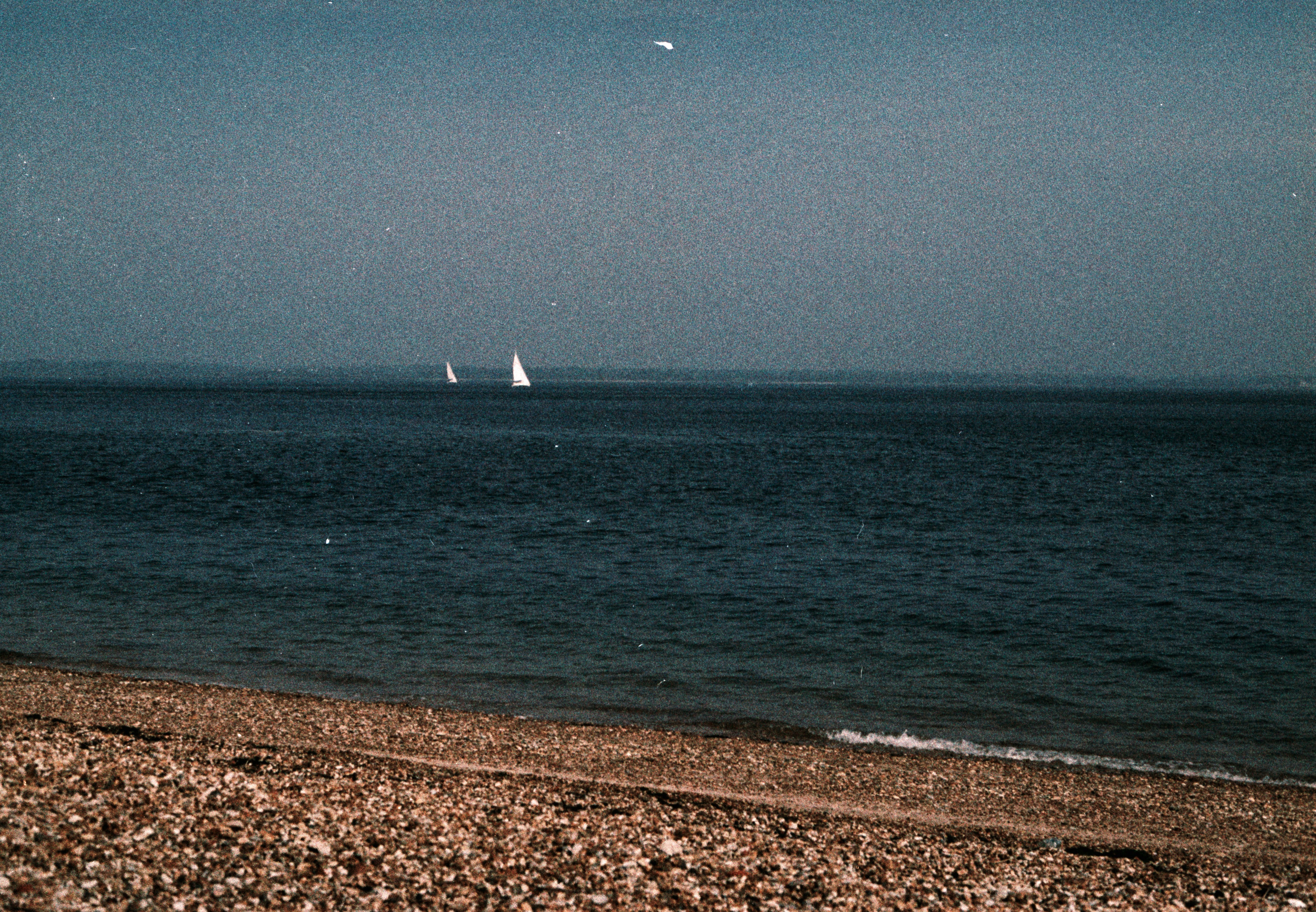 Photo by anniespratt