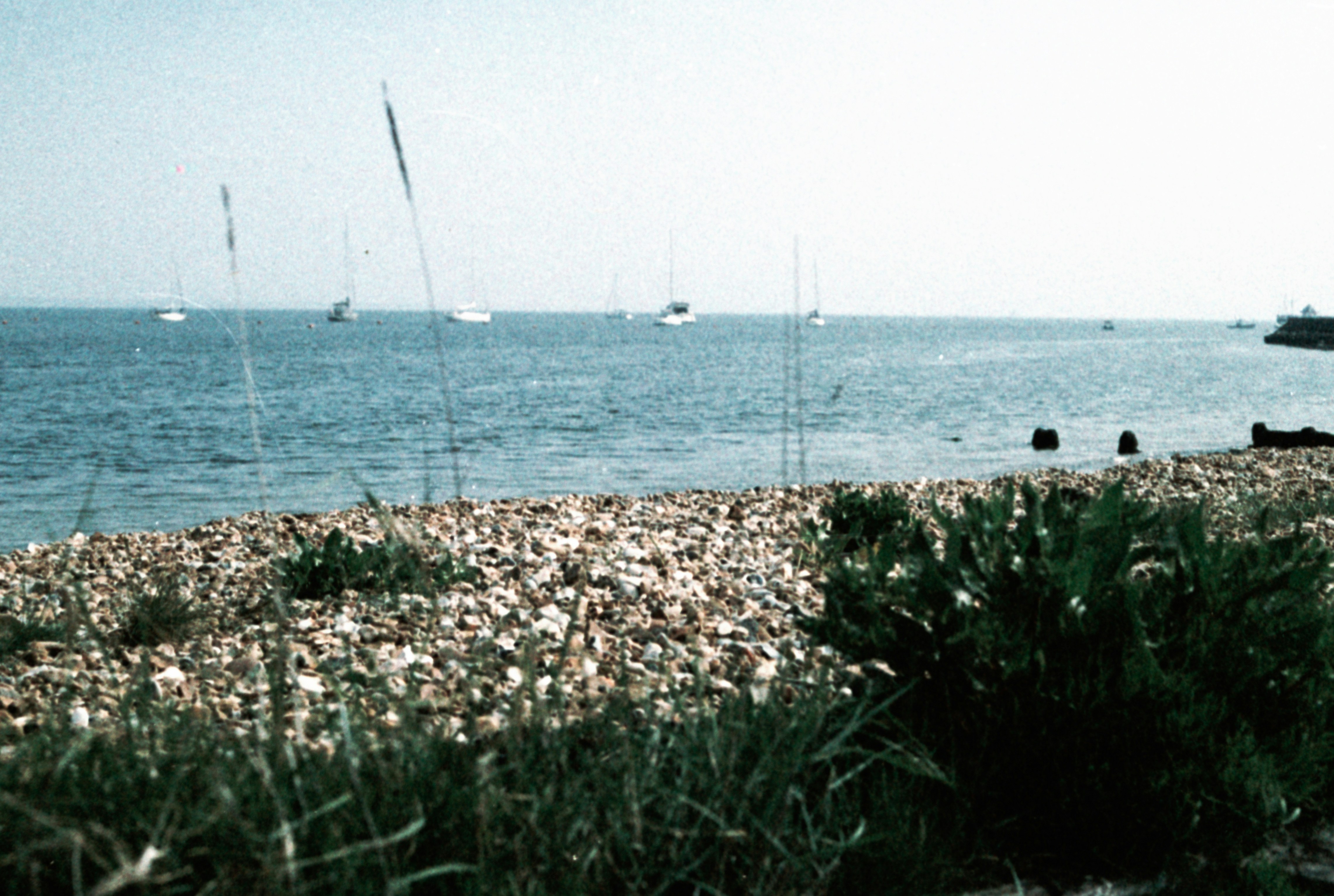 Photo by anniespratt