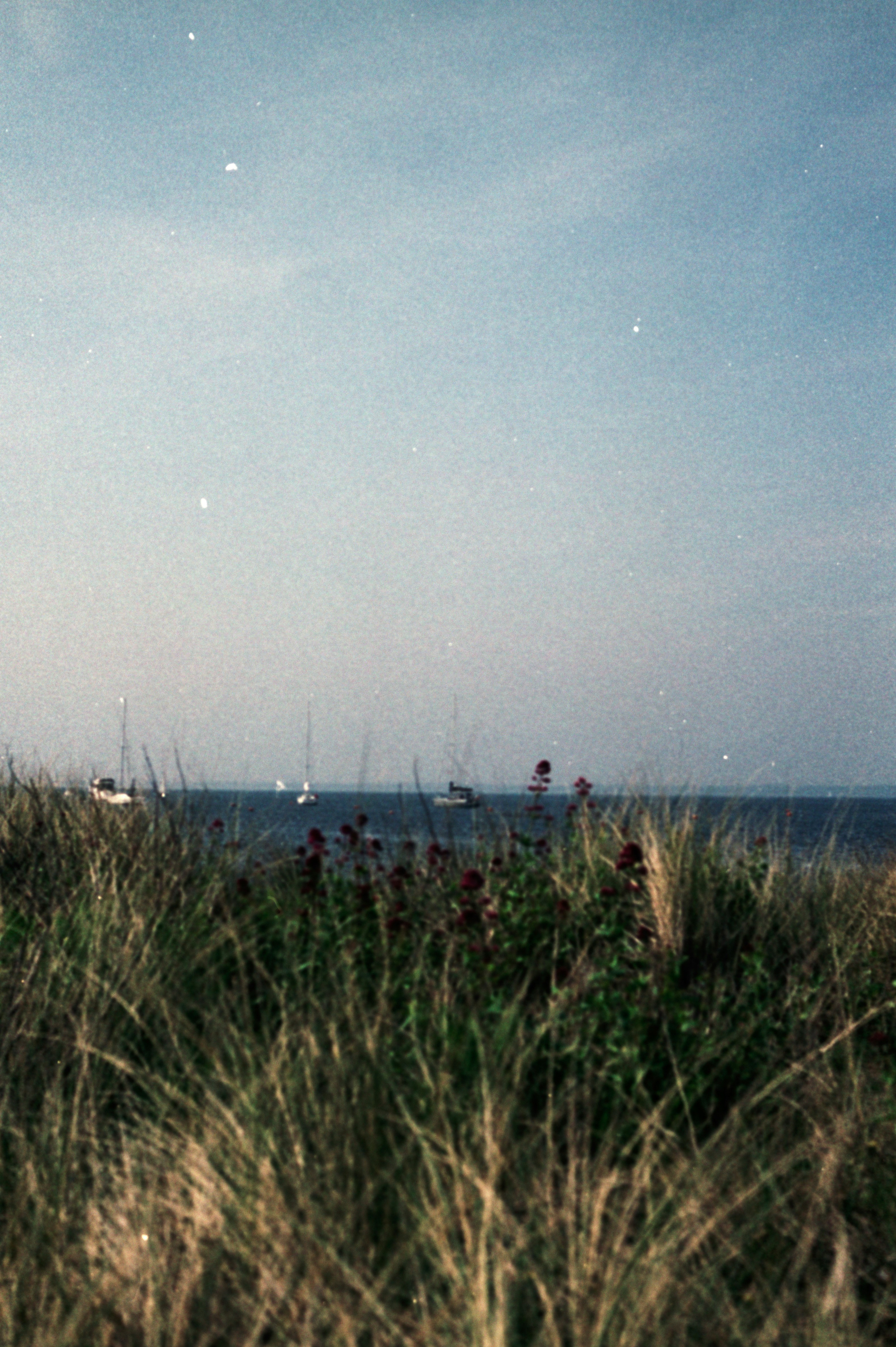 Photo by anniespratt