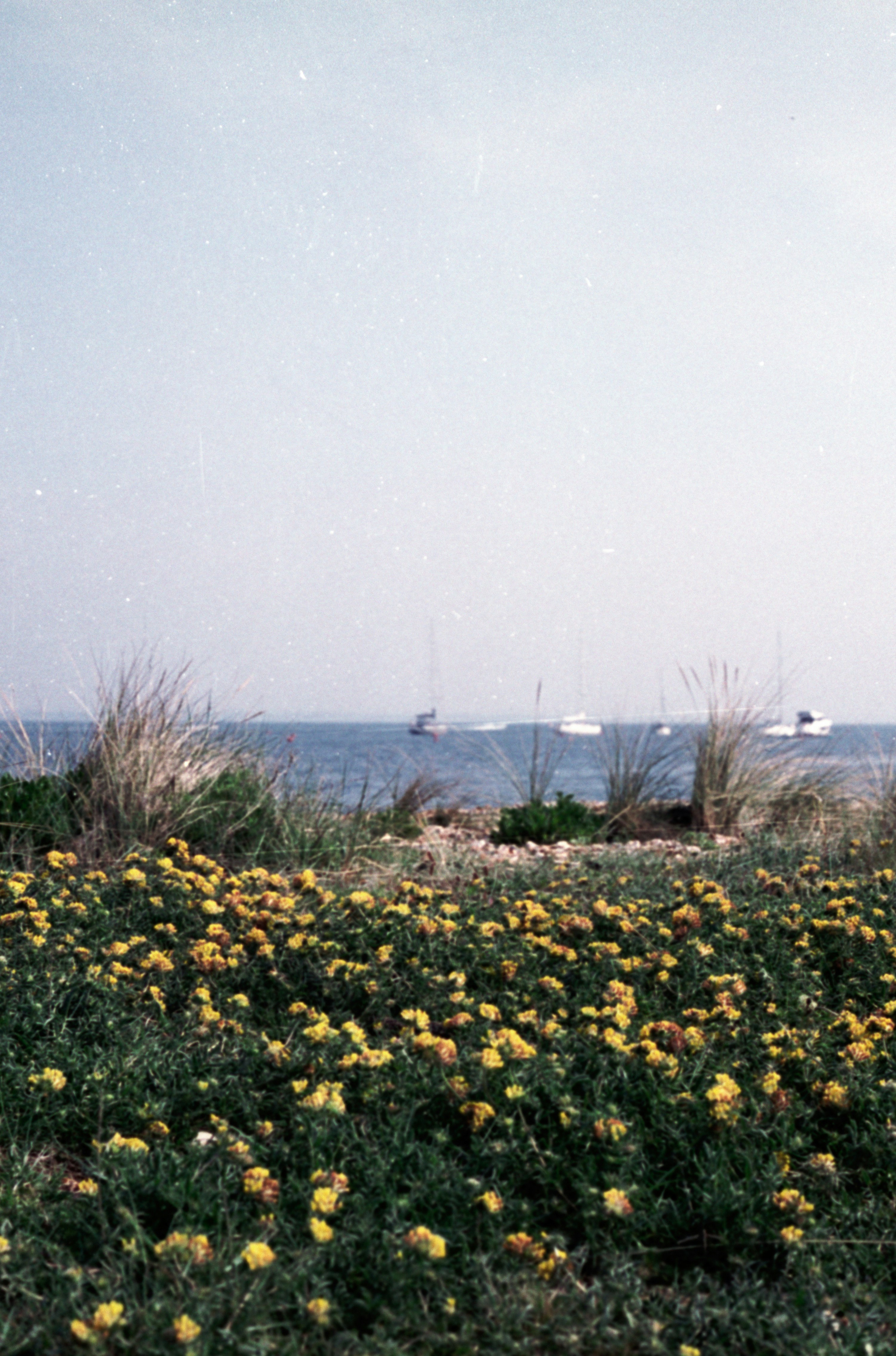 Farglory Ocean Park photo 2