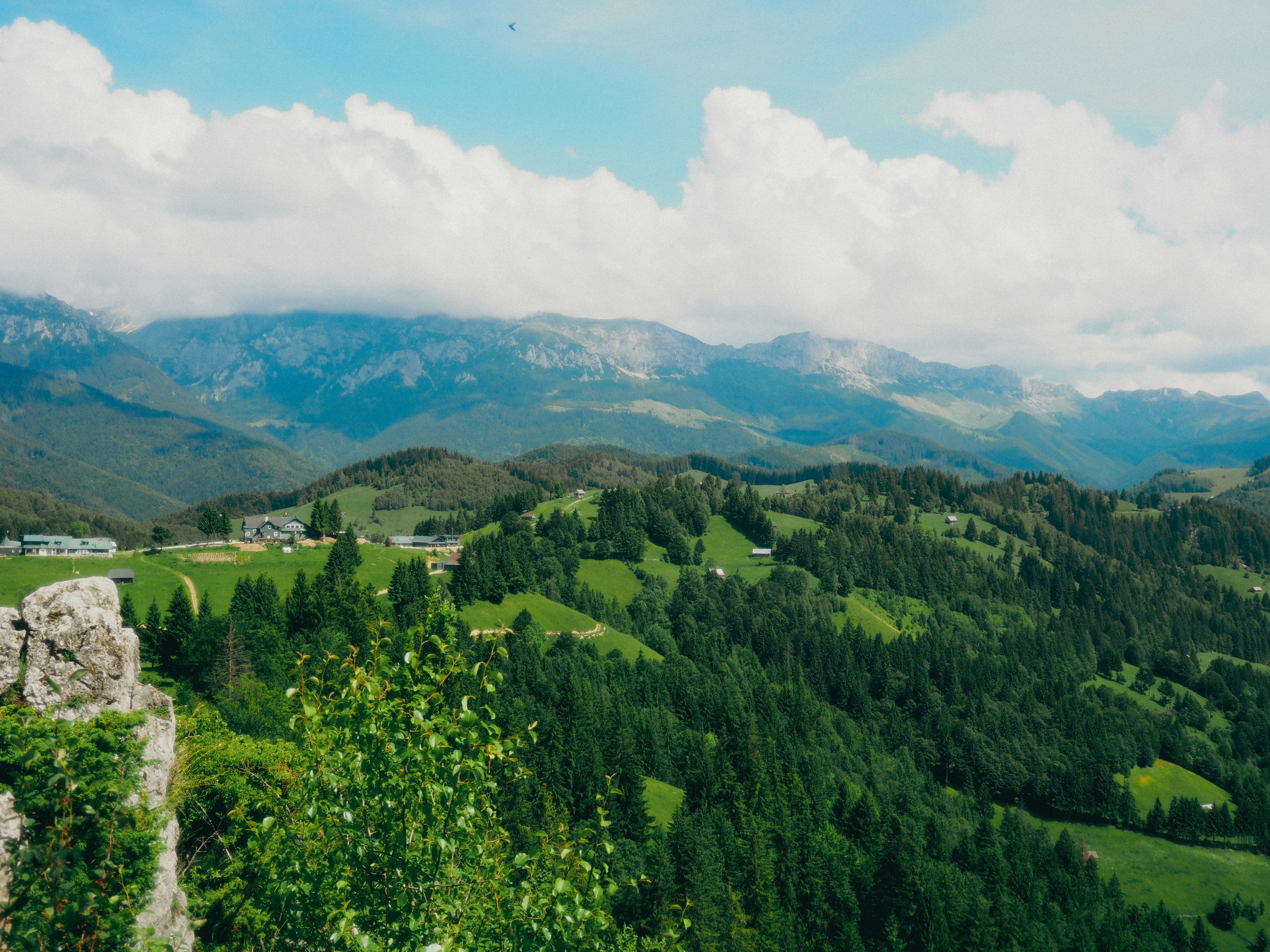 Photo by 13_delendrea_23