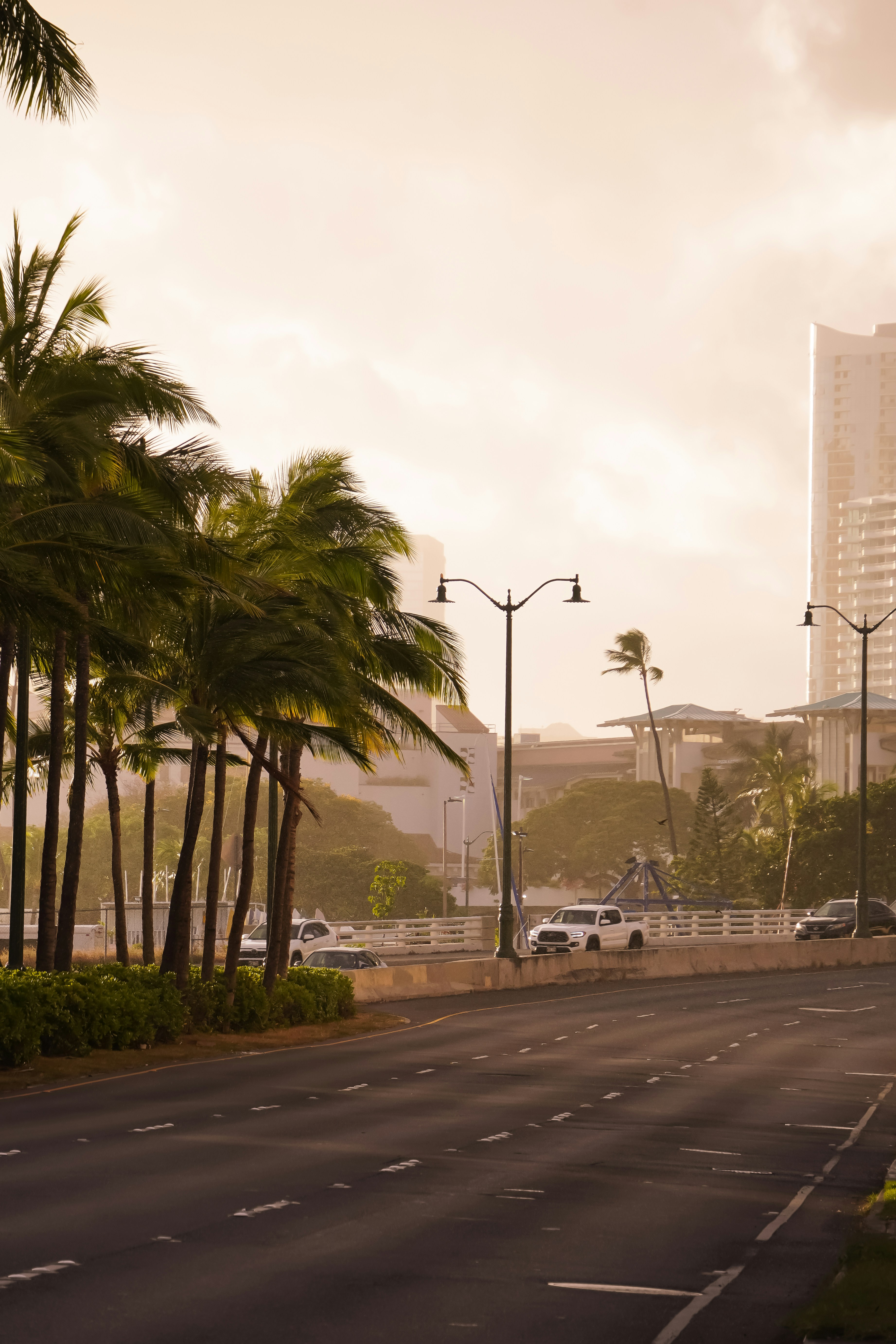 a city street with palm trees on both sides