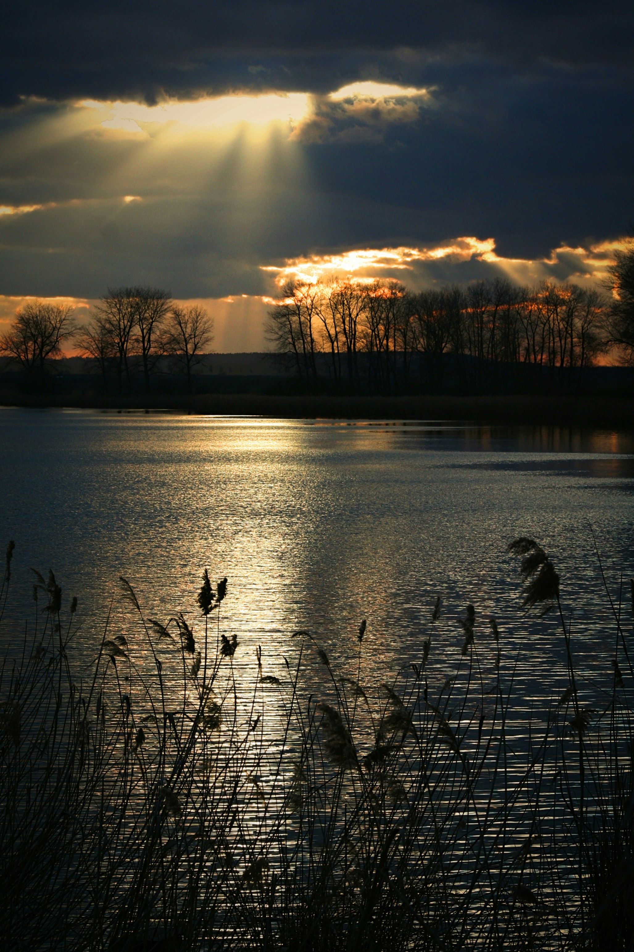 Imágenes de Paisaje De La Tarde | Descarga imágenes gratuitas en Unsplash, image size:3000x4501