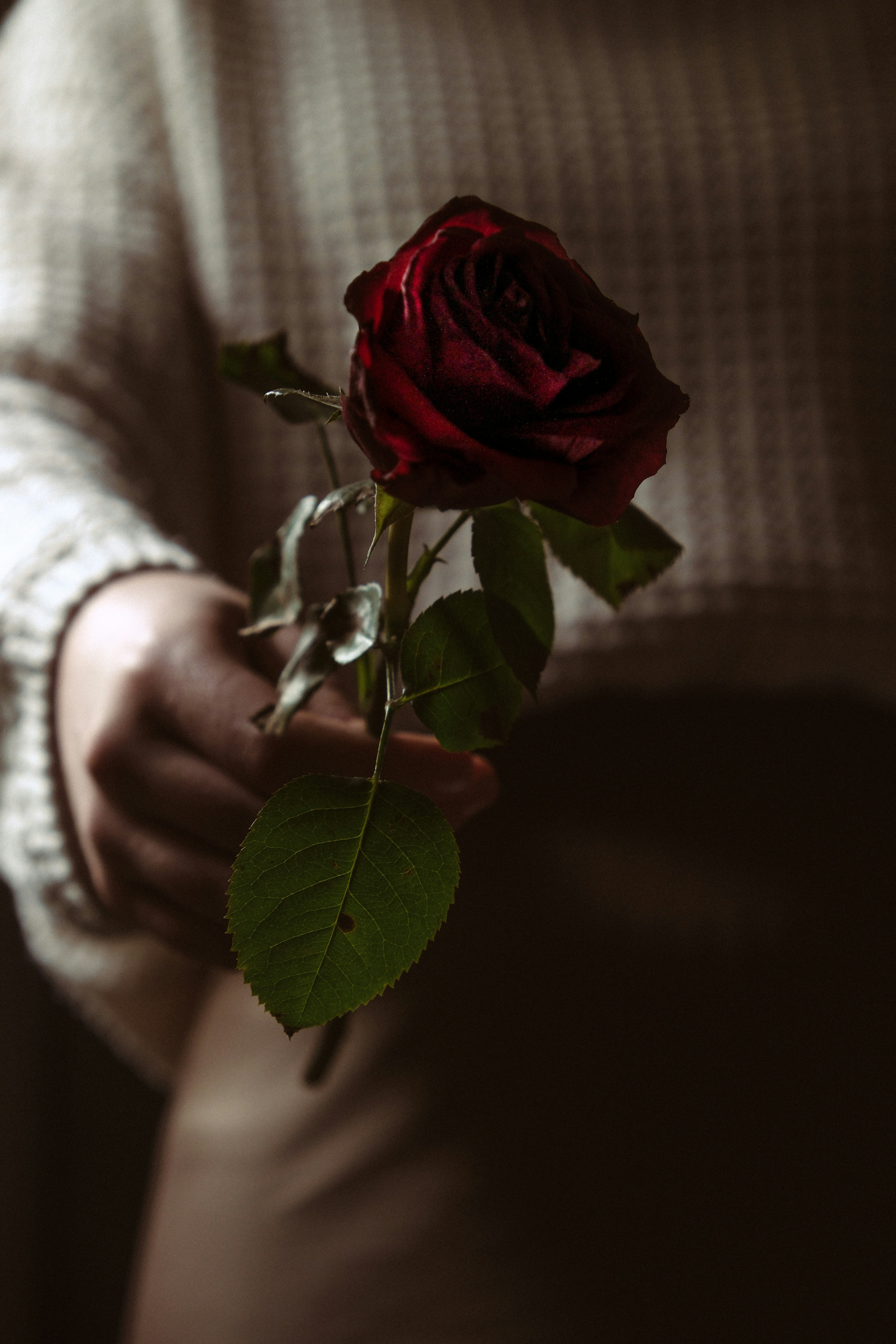 Photo by light_some_candles