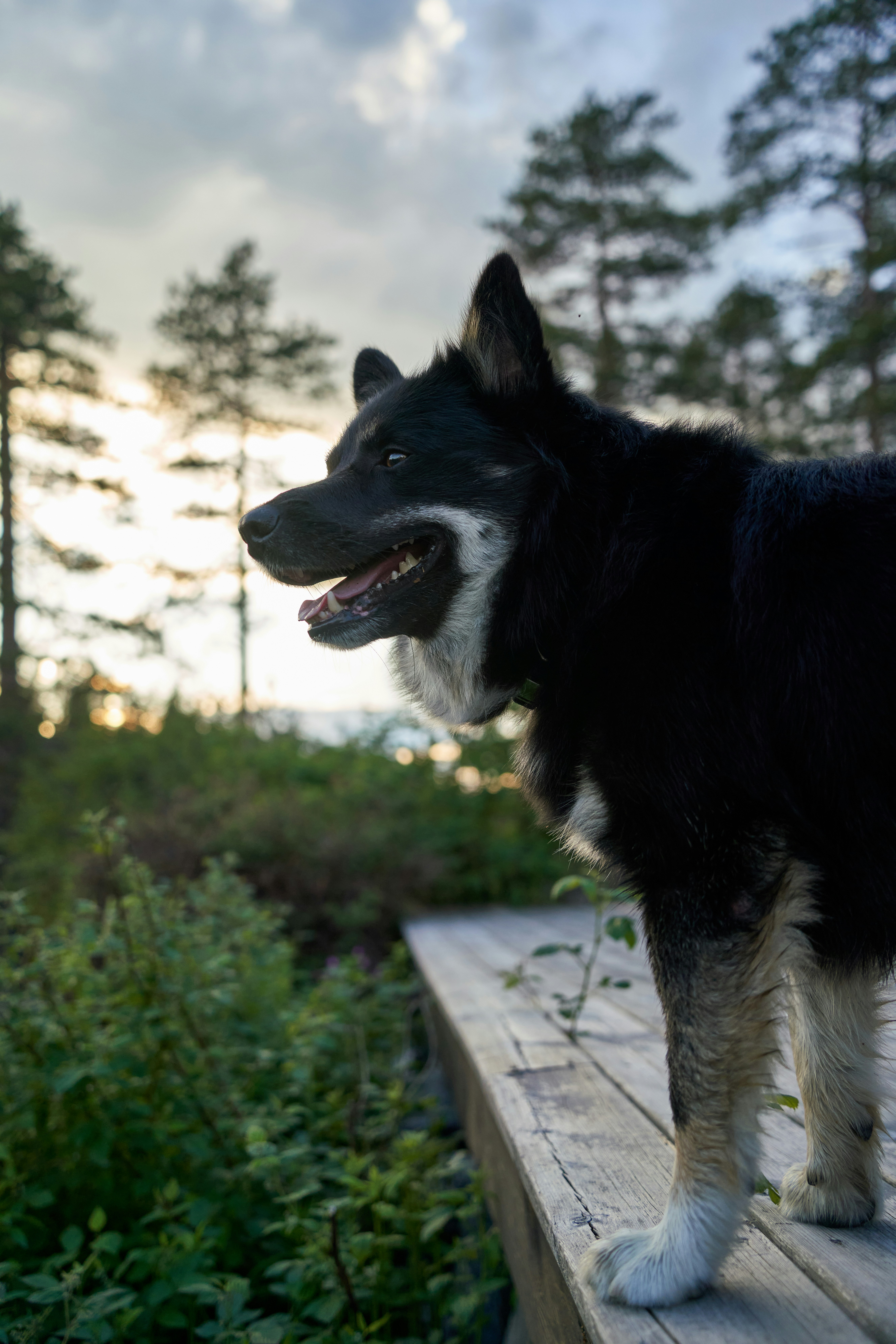 Photo by davotibarna