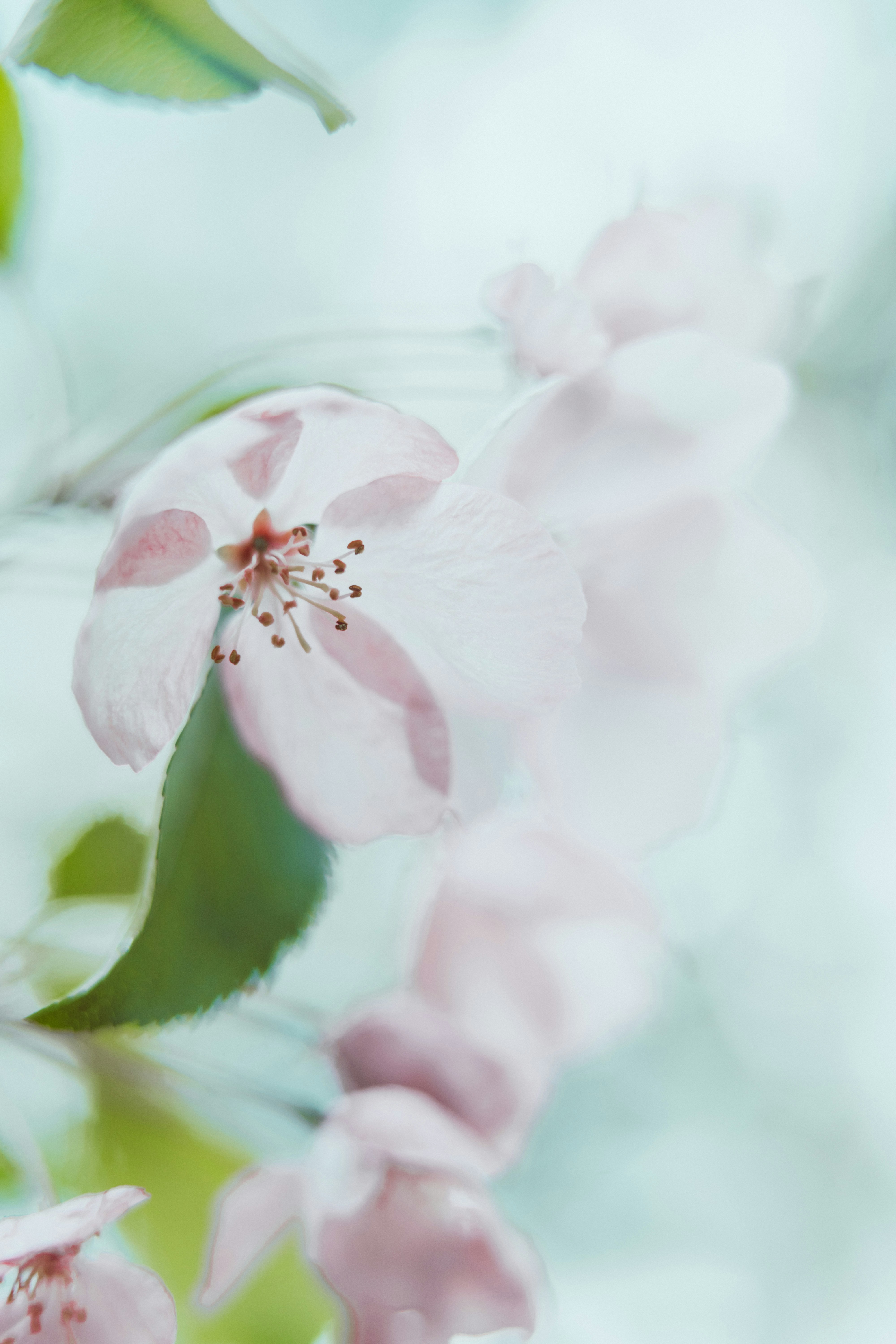 Photo by anamnesis33