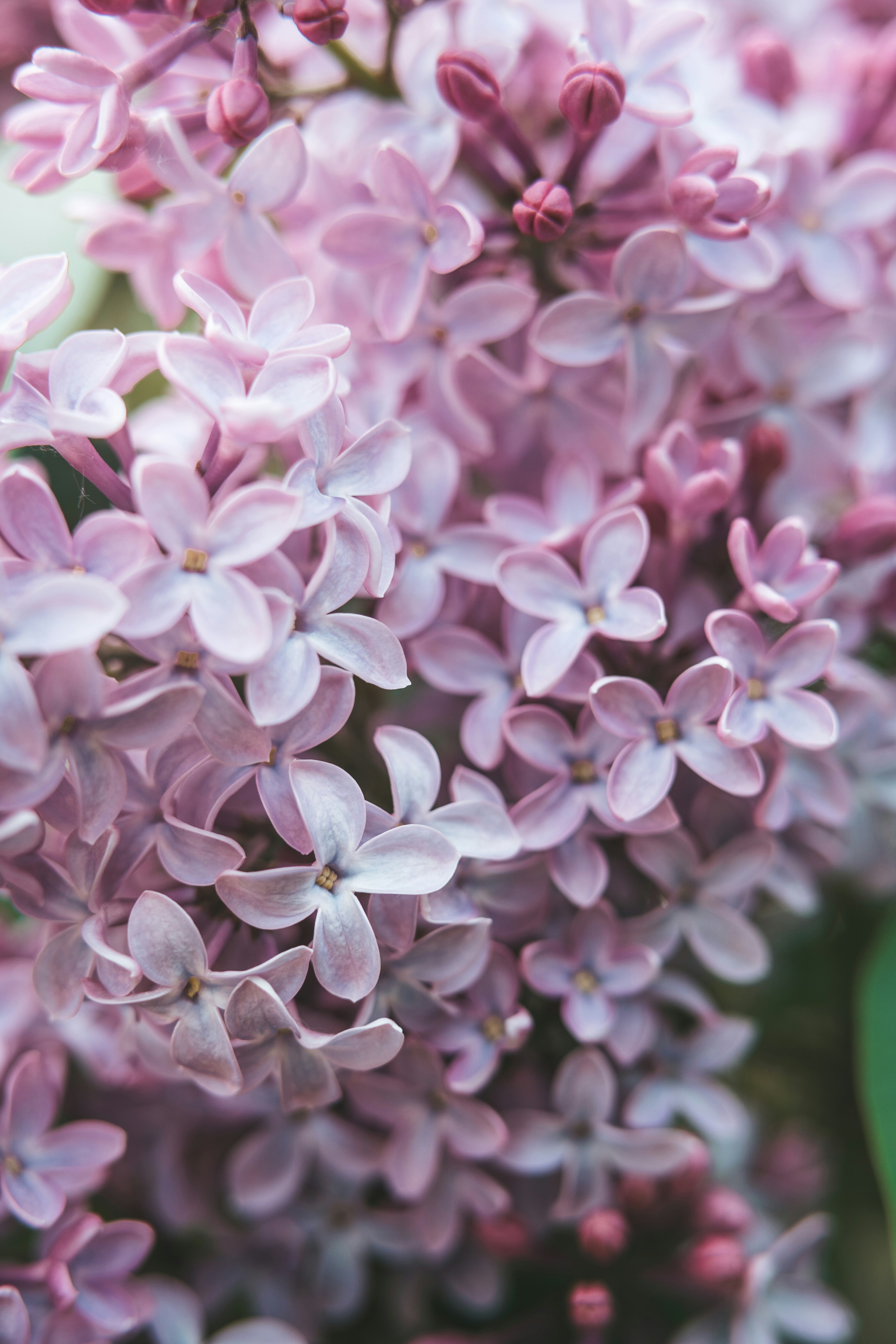 Photo by anamnesis33