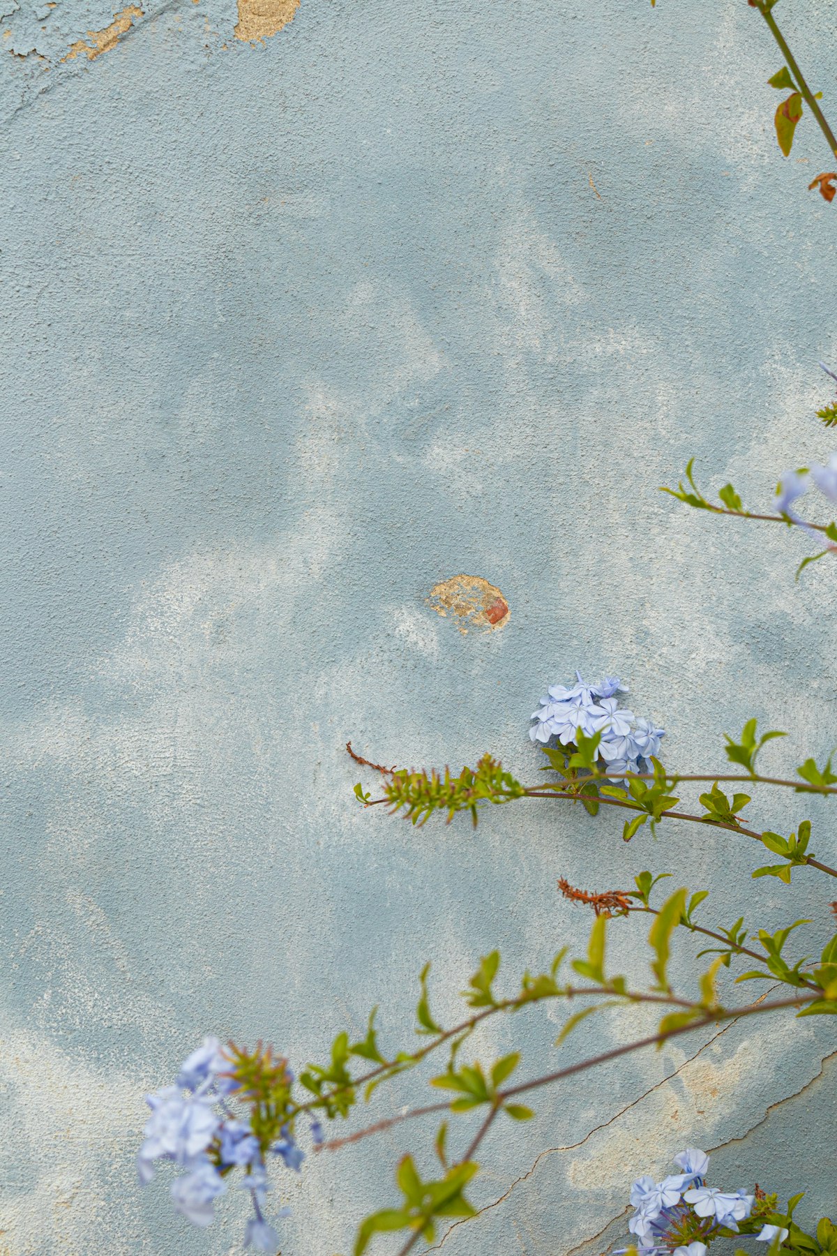 A bunch of fresh flowers and green plants on a table against a soft grey wall