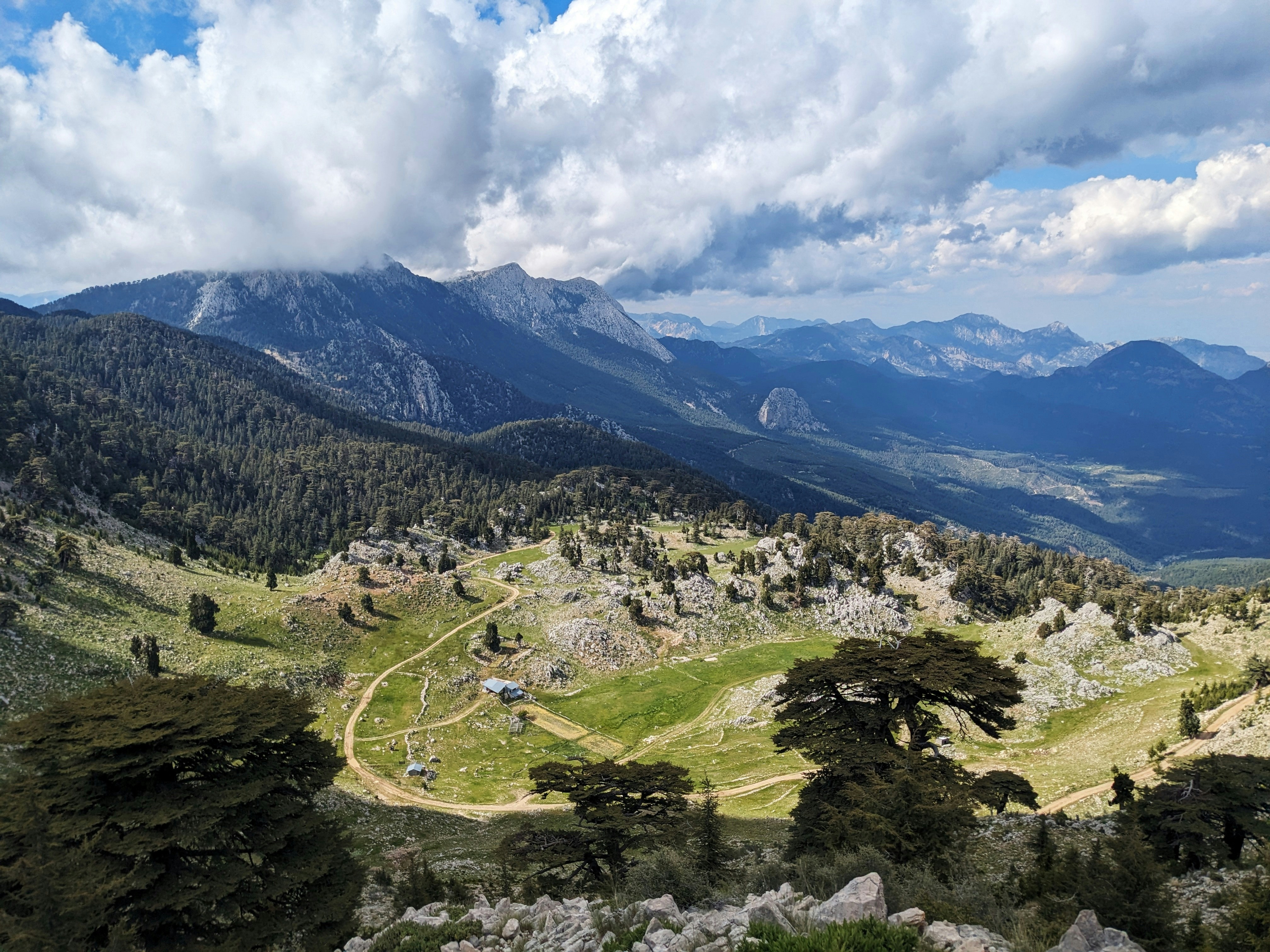 Photo by allenmilligun